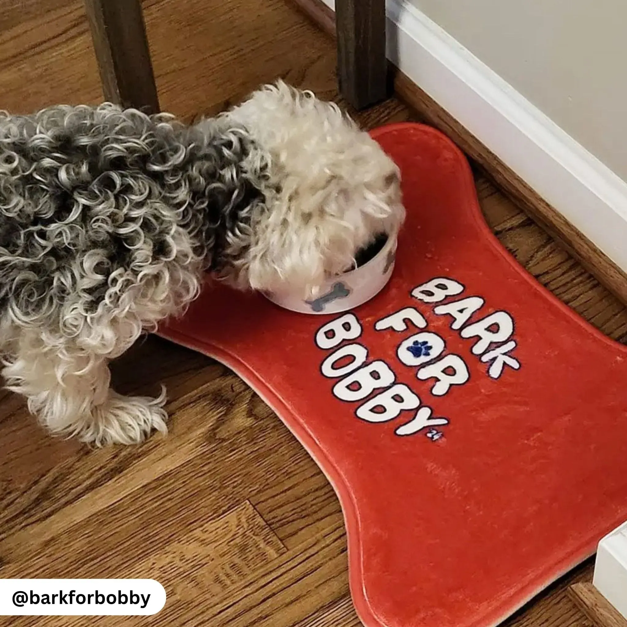 Bark for Bobby Pet Red Feeding Mats