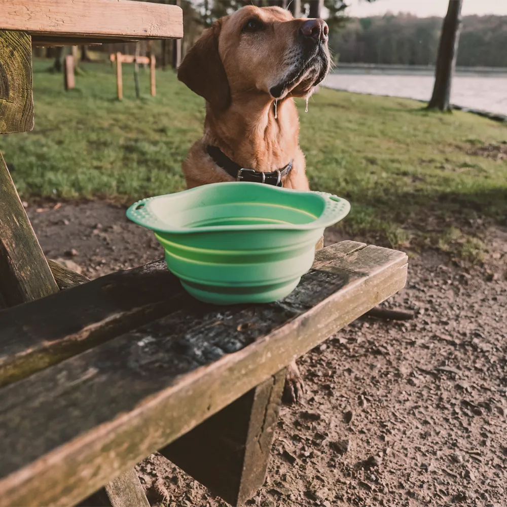 Beco Collapsible Travel Dog Bowl