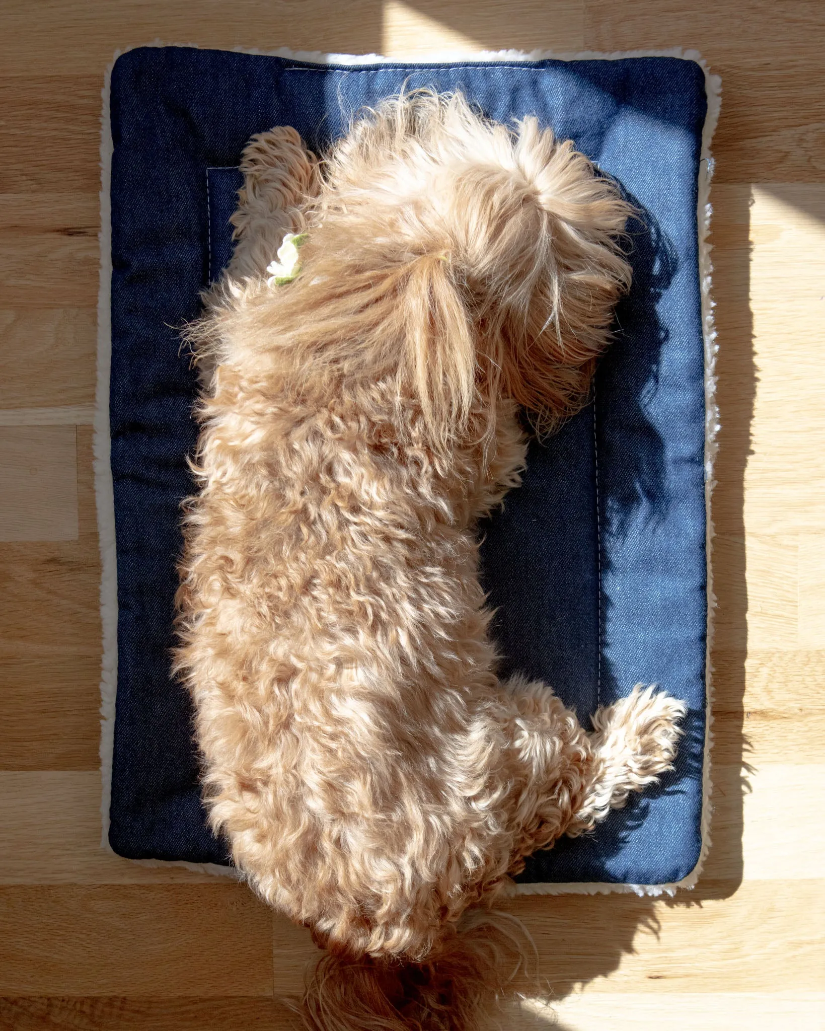 Blue Denim & Shearling Pet Napping Mat (Made in the USA)