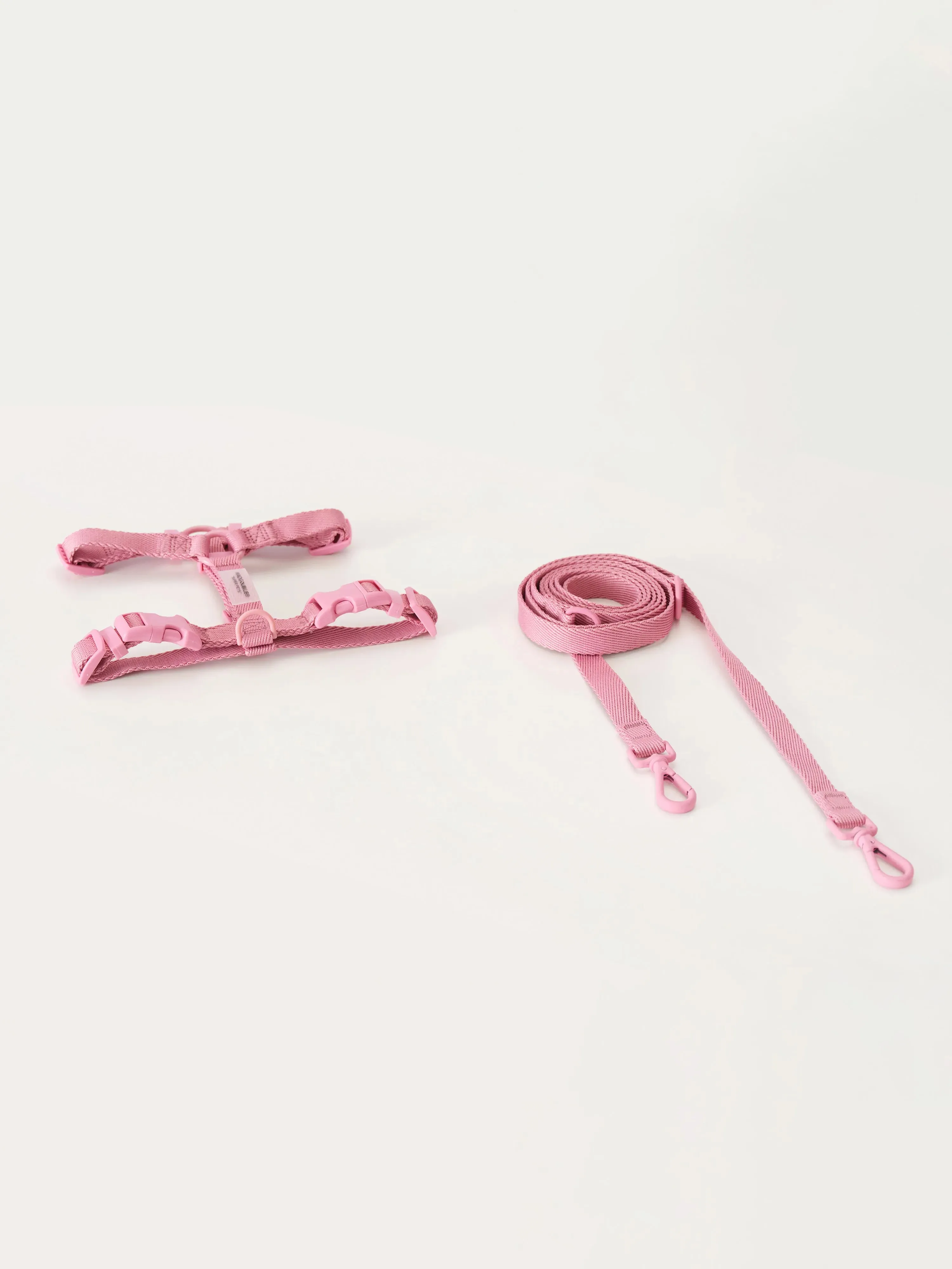 Bubblegum Cat & Dog Harness Set - 2.5m Long Leash