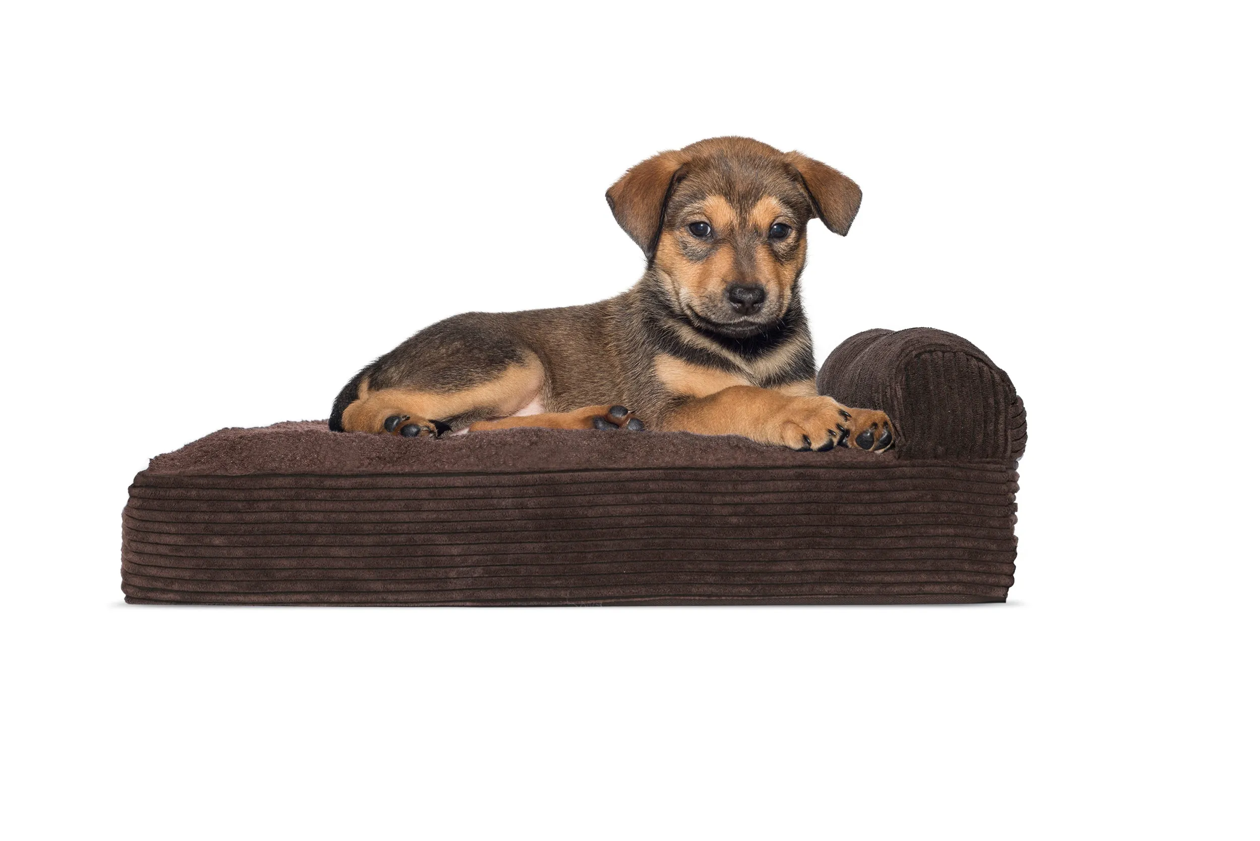 Chaise Lounge Dog Bed - Faux Fleece & Corduroy