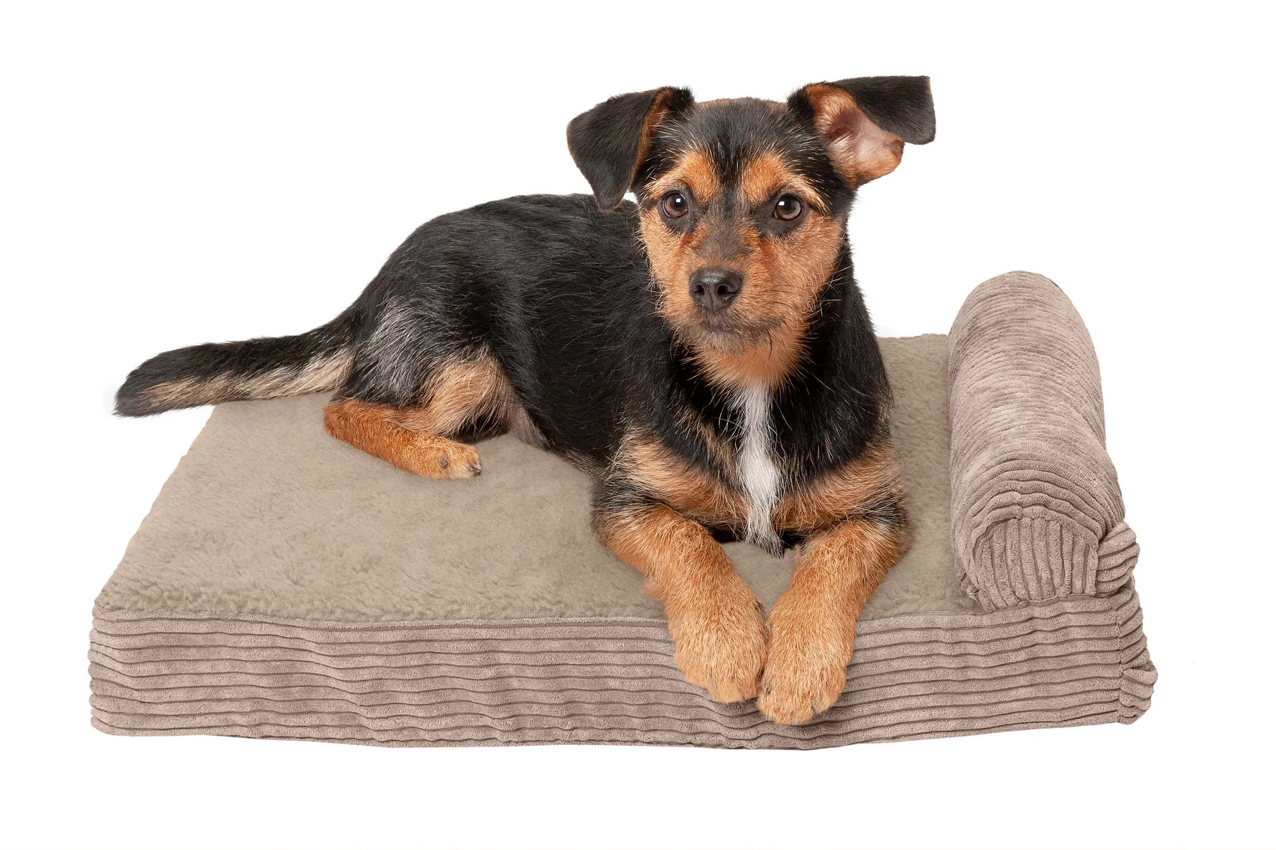 Chaise Lounge Dog Bed - Faux Fleece & Corduroy