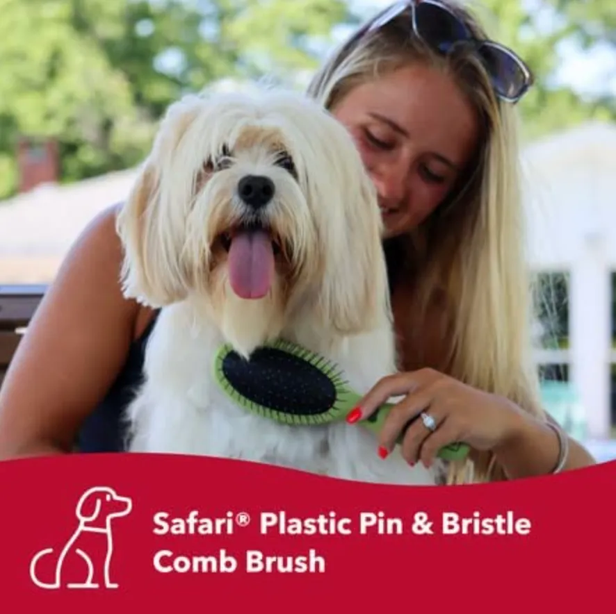 Coastal Safari Combo Dog Brush