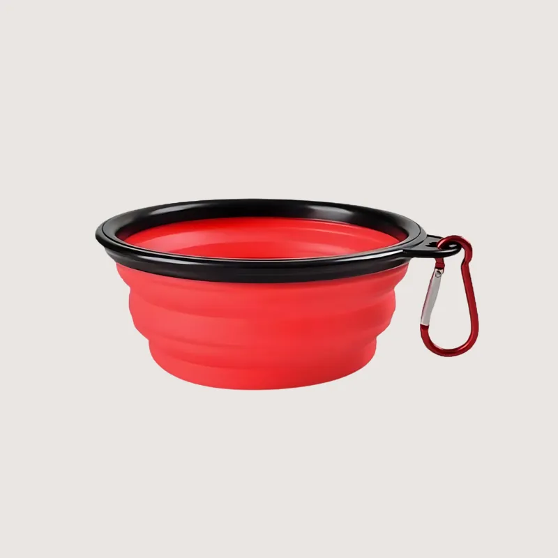 Collapsible Pet Bowl: Travel Ready