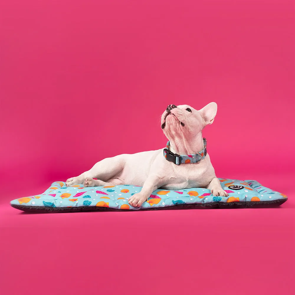 Dear Pet Dancing Pearls Dog Mat