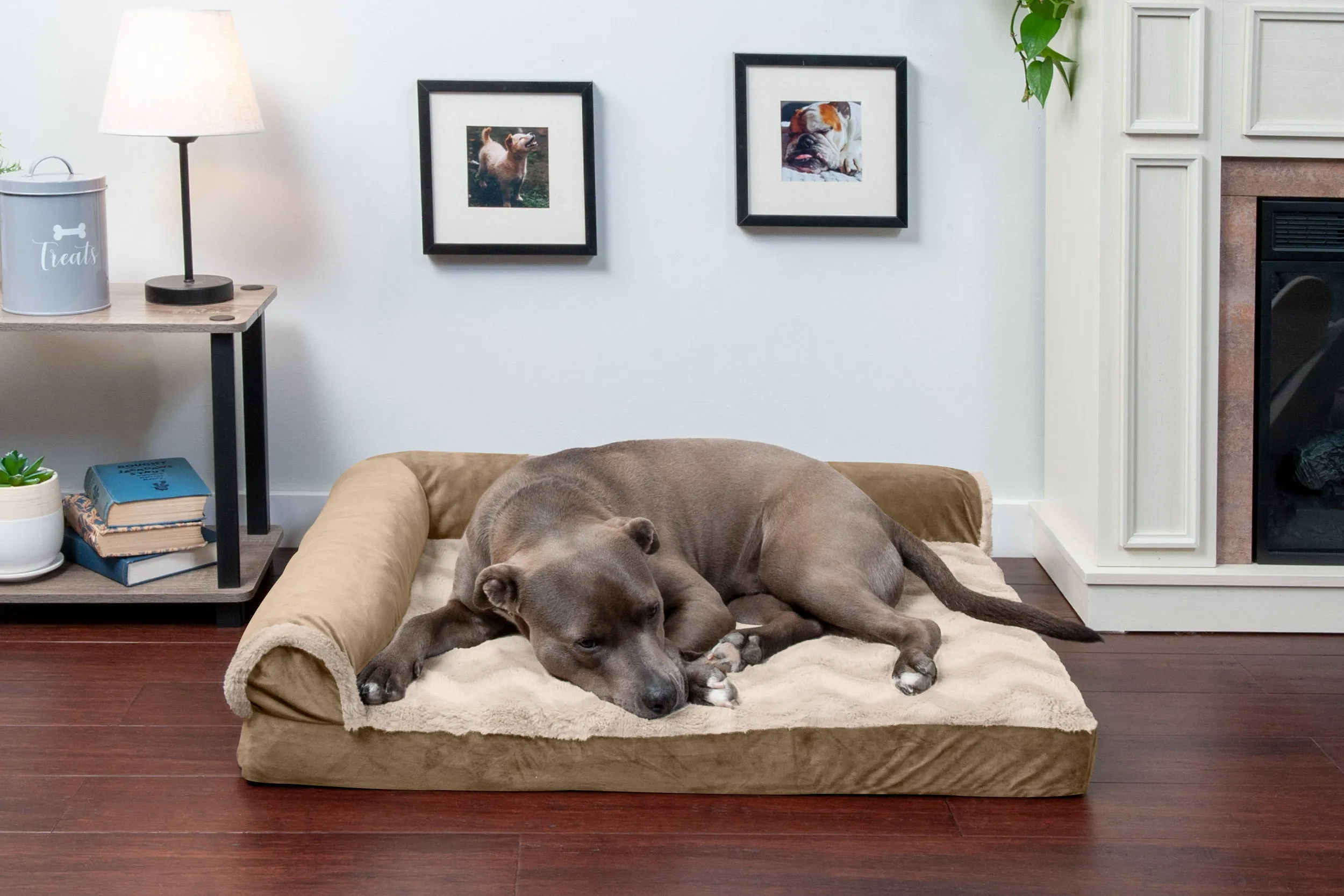 Deluxe Chaise Lounge Dog Bed - Wave Fur & Velvet