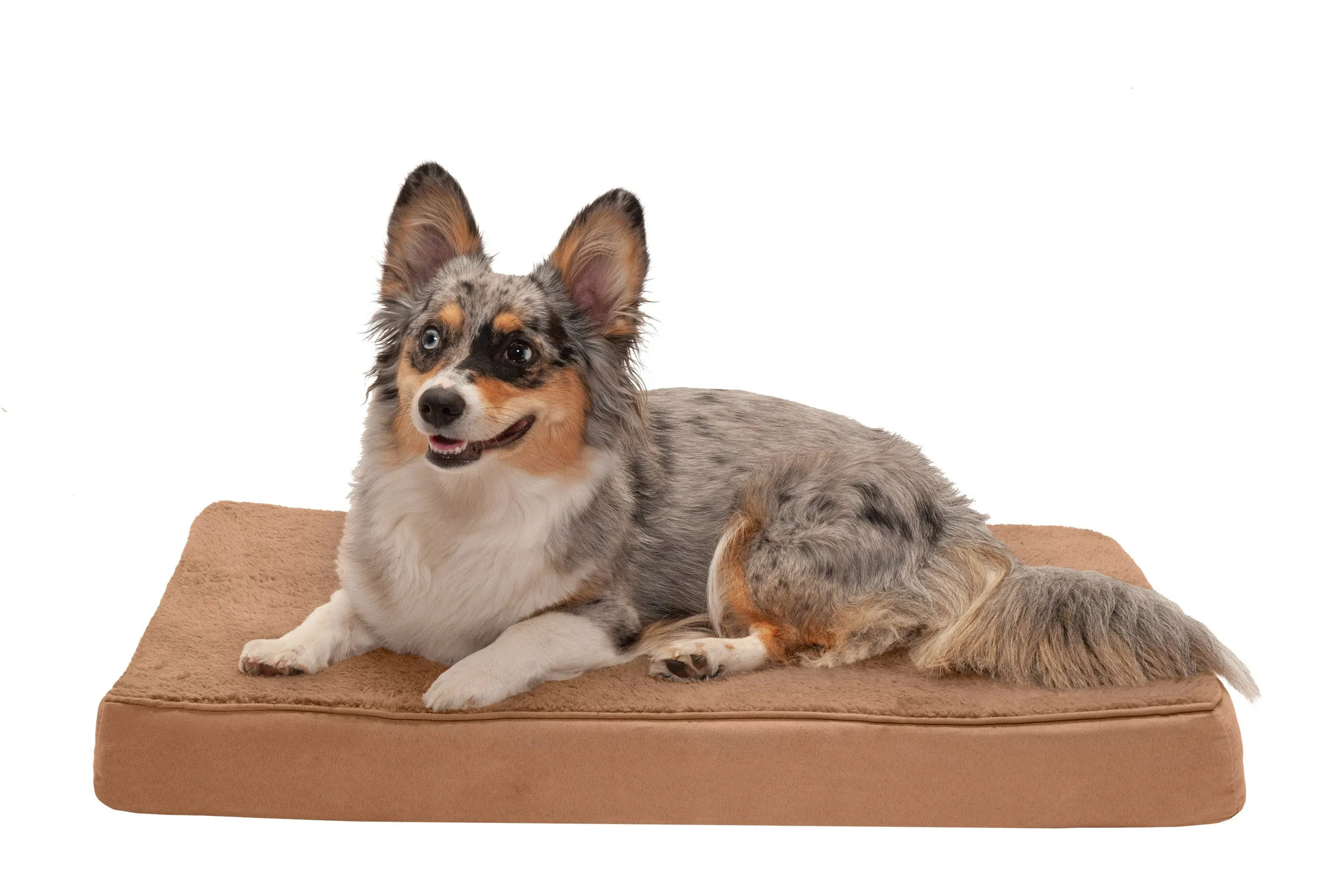 Deluxe Mattress Dog Bed - Terry & Suede