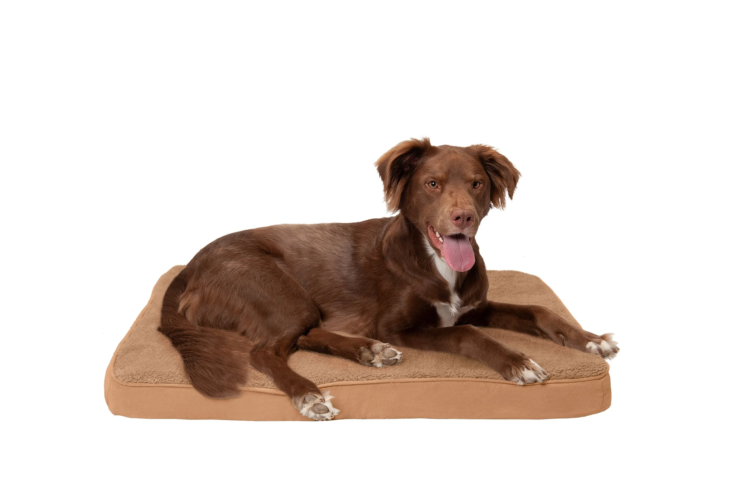 Deluxe Mattress Dog Bed - Terry & Suede