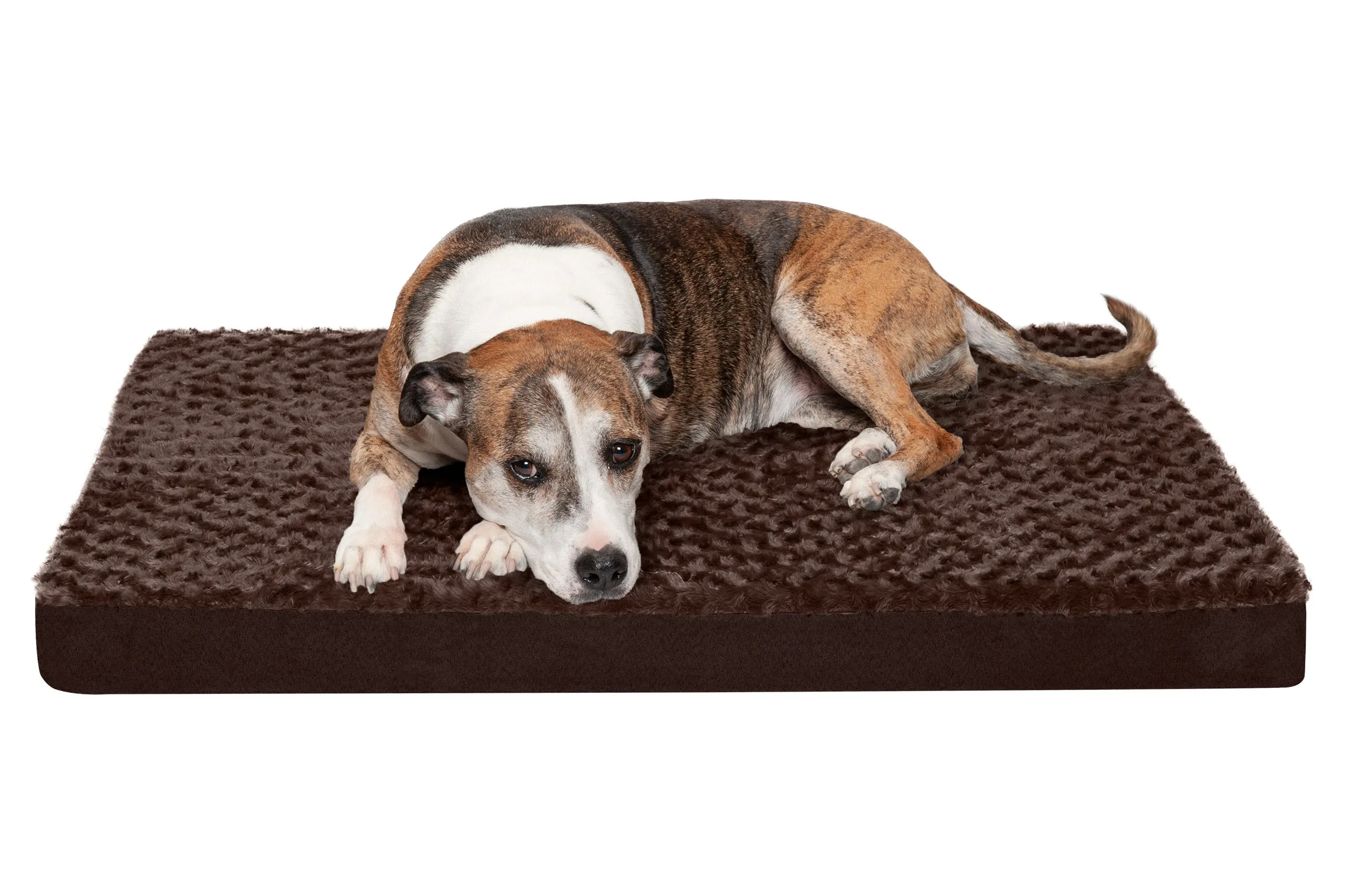 Deluxe Mattress Dog Bed - Ultra Plush