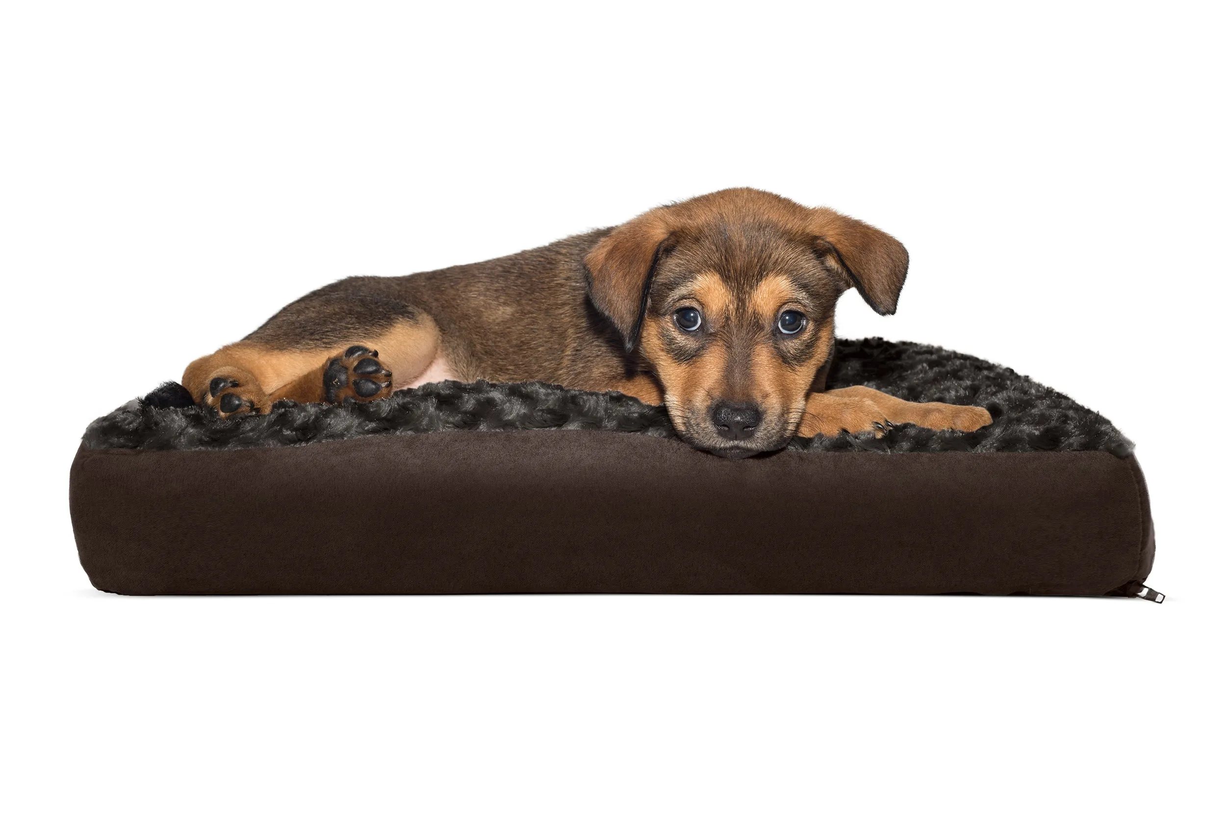 Deluxe Mattress Dog Bed - Ultra Plush