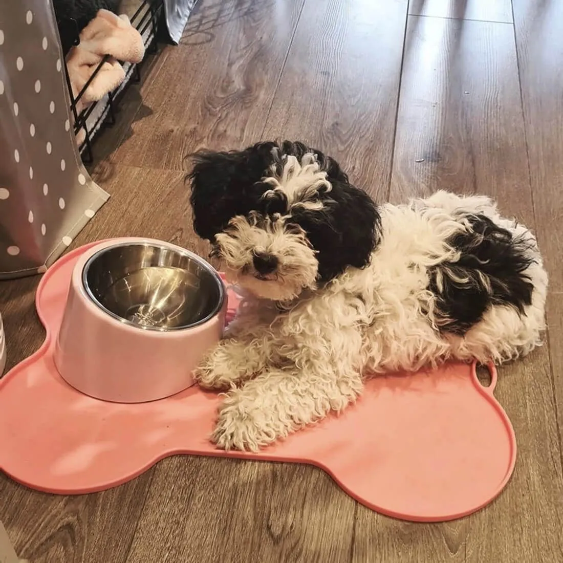 Dog Food Placemats -Food Bowl Mats- Waterproof & No Slip | SuperDesign