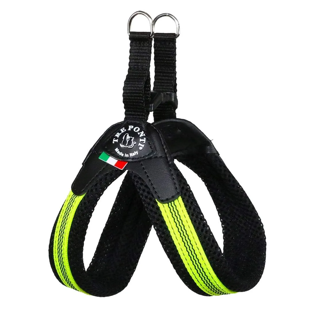 Fluo Pop Buckle