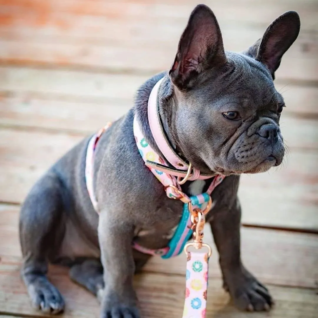 Frenchiestore Adjustable Pet Health Strap Harness | Pink StarPup