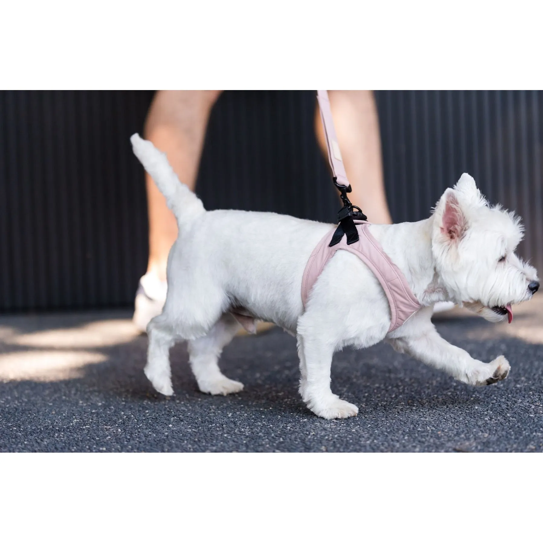 FuzzYard Life Step In Dog Harness Soft Blush Large