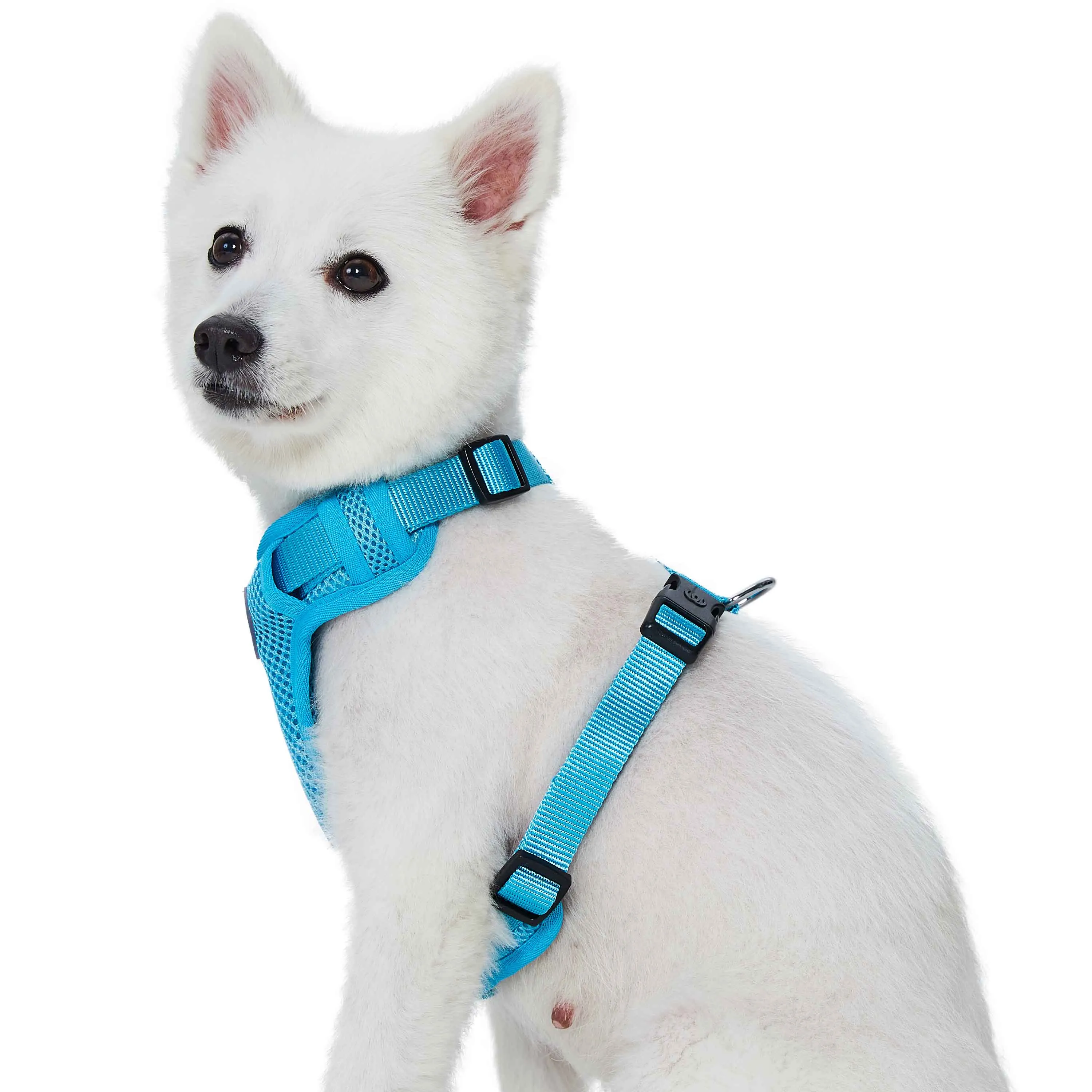 H Shape Adjustable Nylon Harness Vest for Girl Boy Dogs, Blue Pink Green..