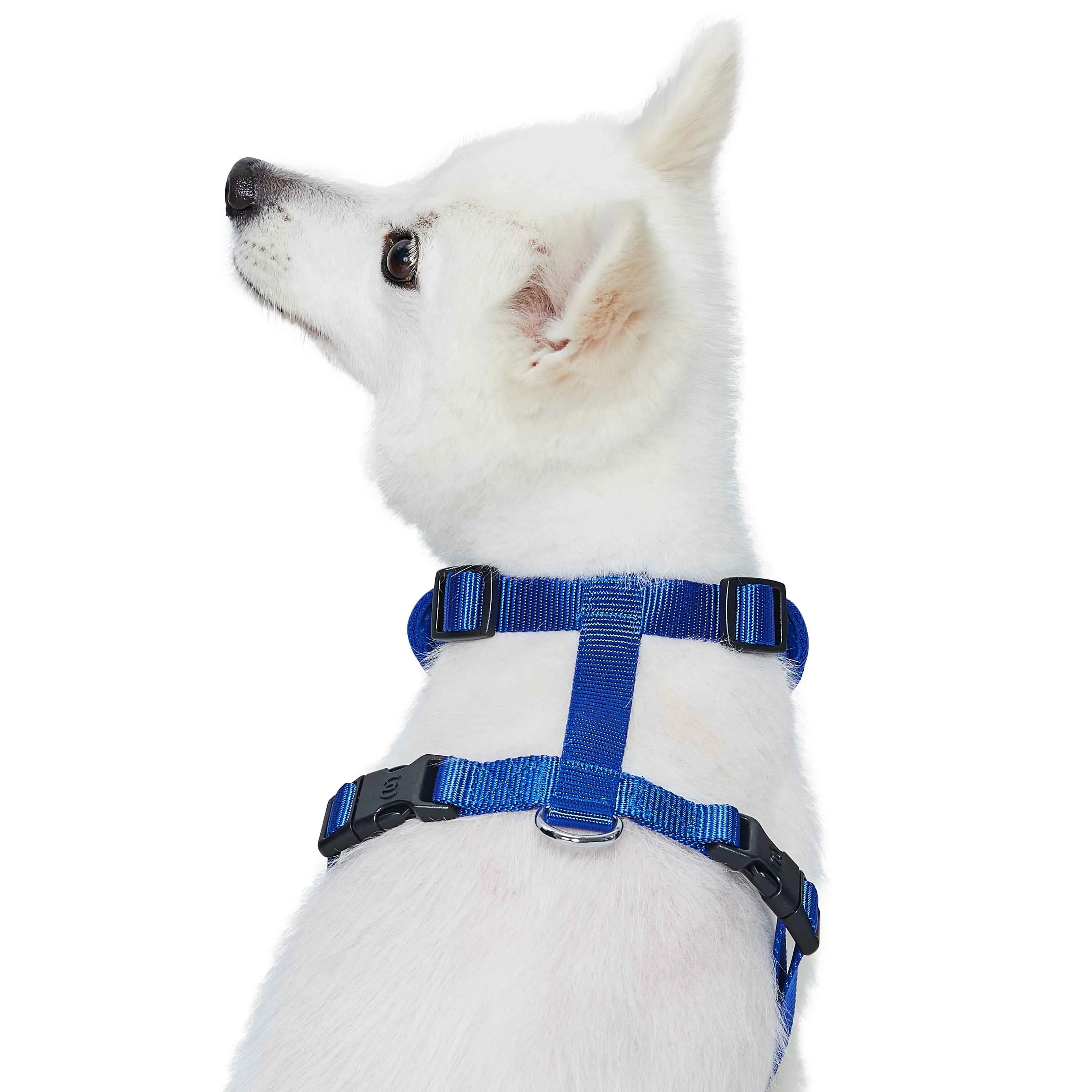 H Shape Adjustable Nylon Harness Vest for Girl Boy Dogs, Blue Pink Green..