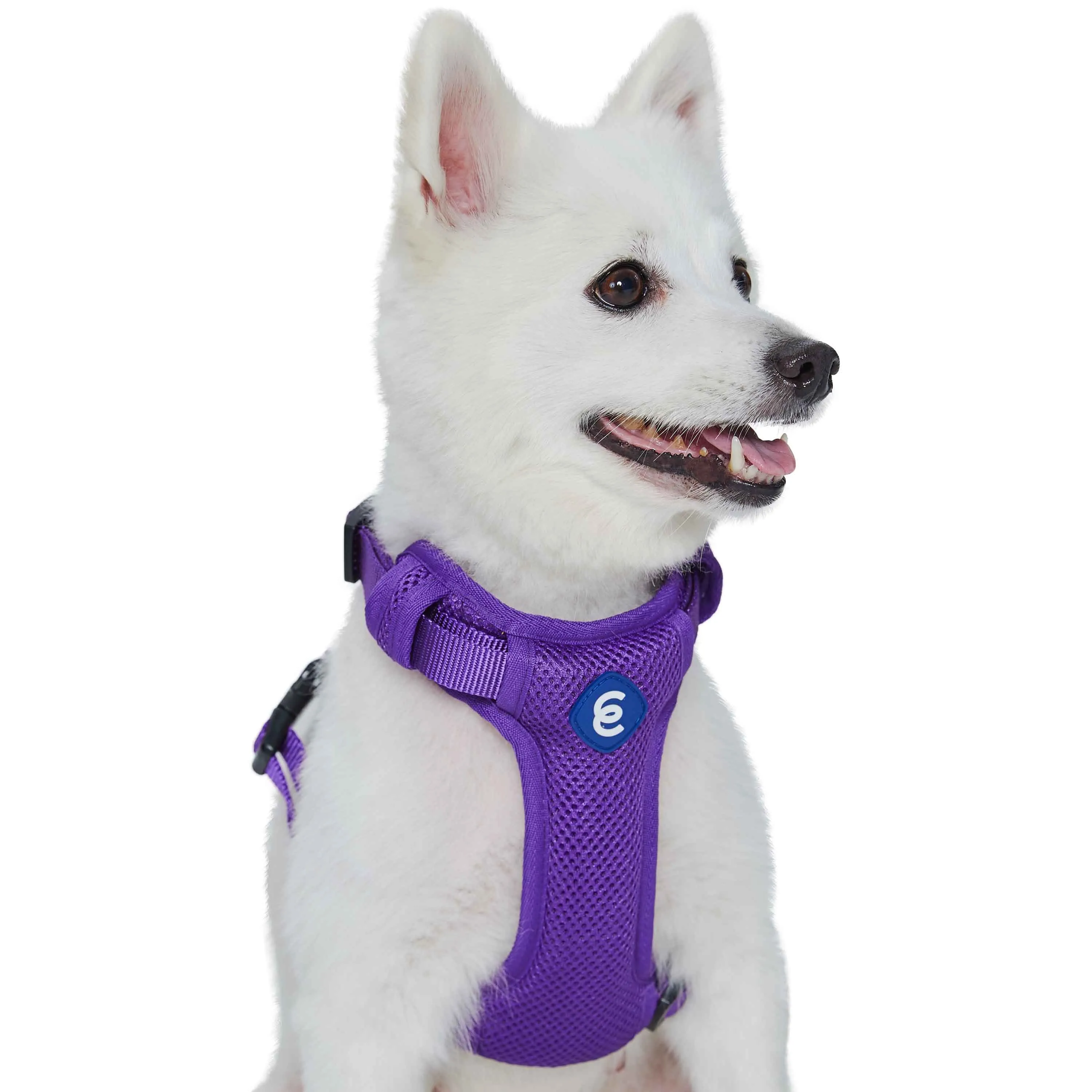 H Shape Adjustable Nylon Harness Vest for Girl Boy Dogs, Blue Pink Green..