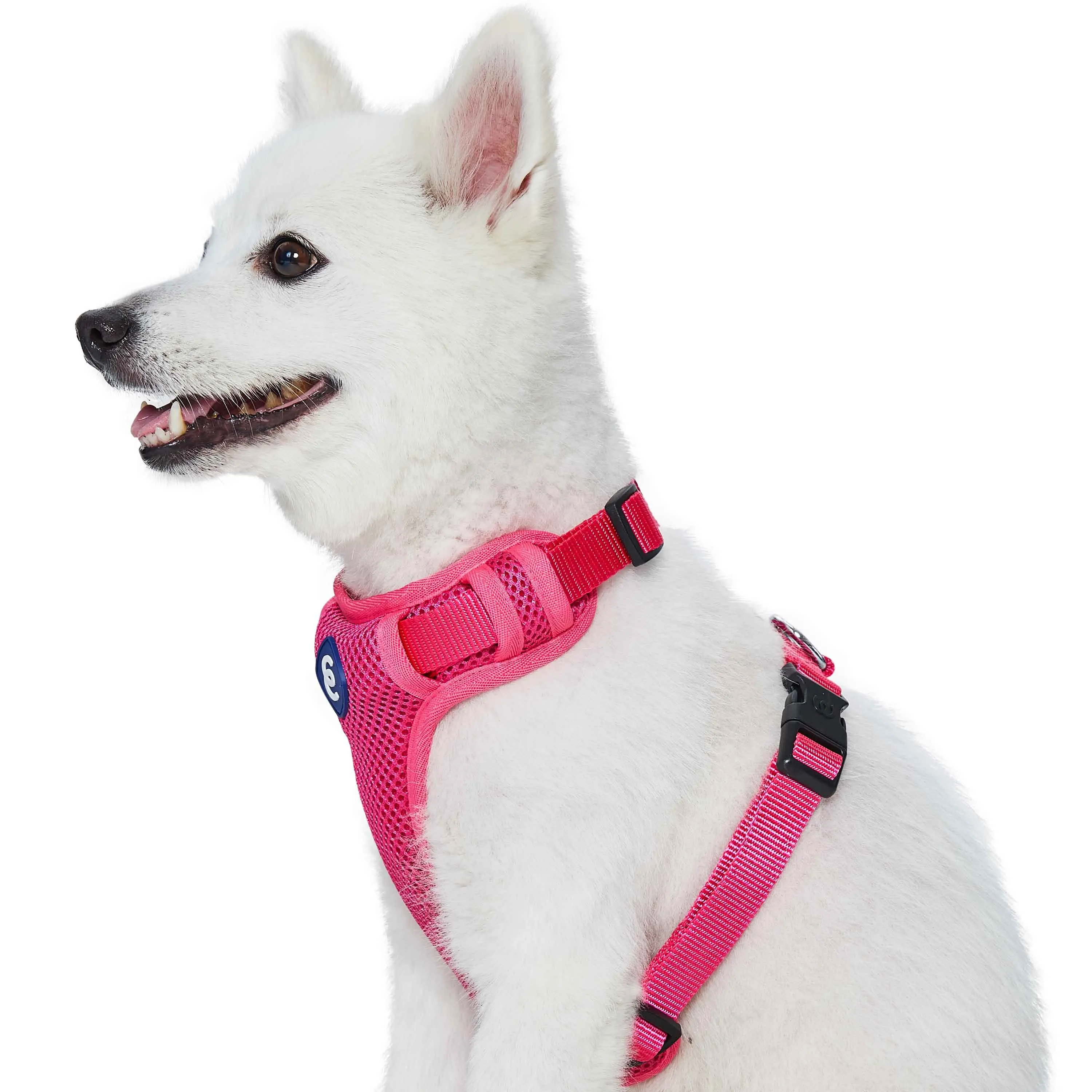 H Shape Adjustable Nylon Harness Vest for Girl Boy Dogs, Blue Pink Green..