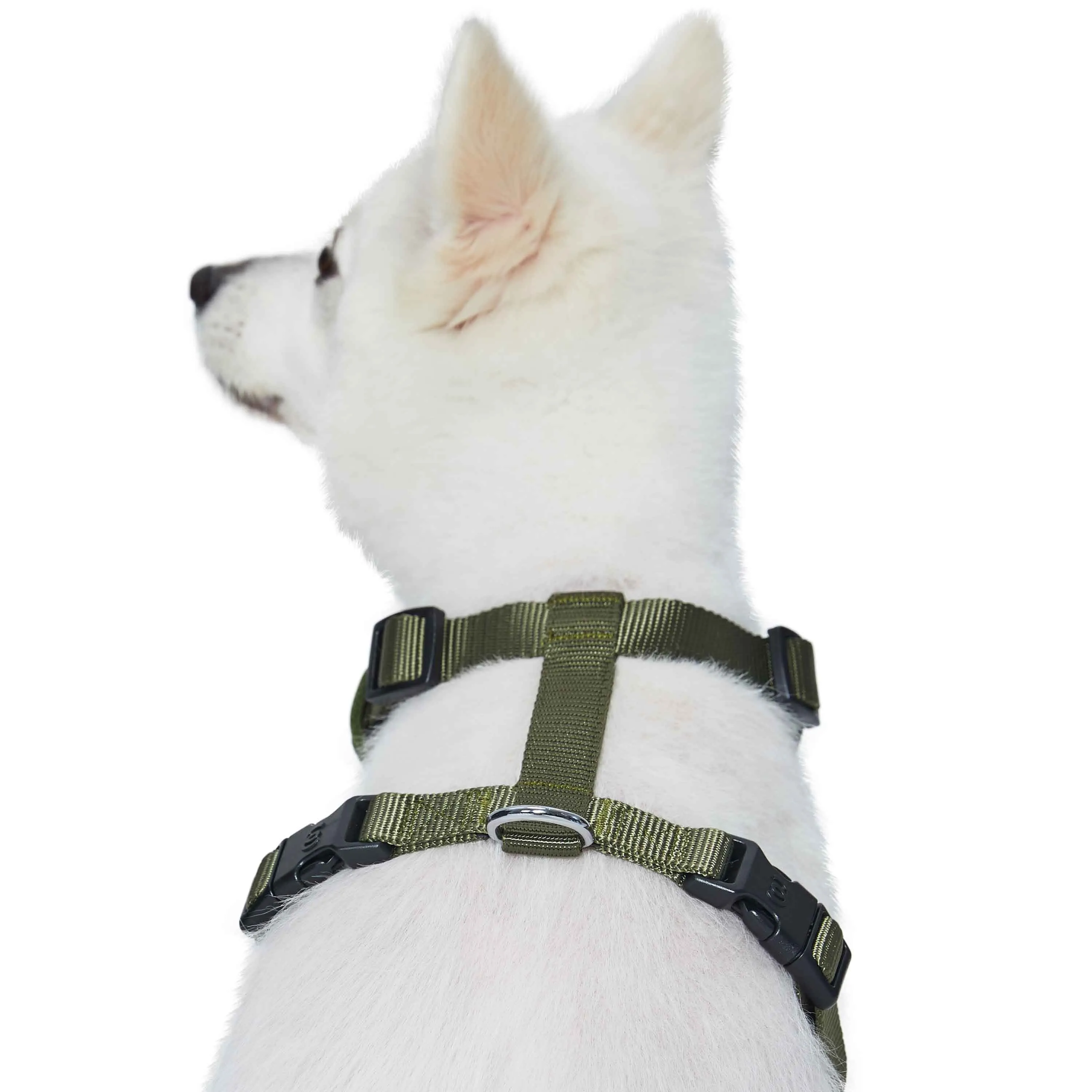 H Shape Adjustable Nylon Harness Vest for Girl Boy Dogs, Blue Pink Green..