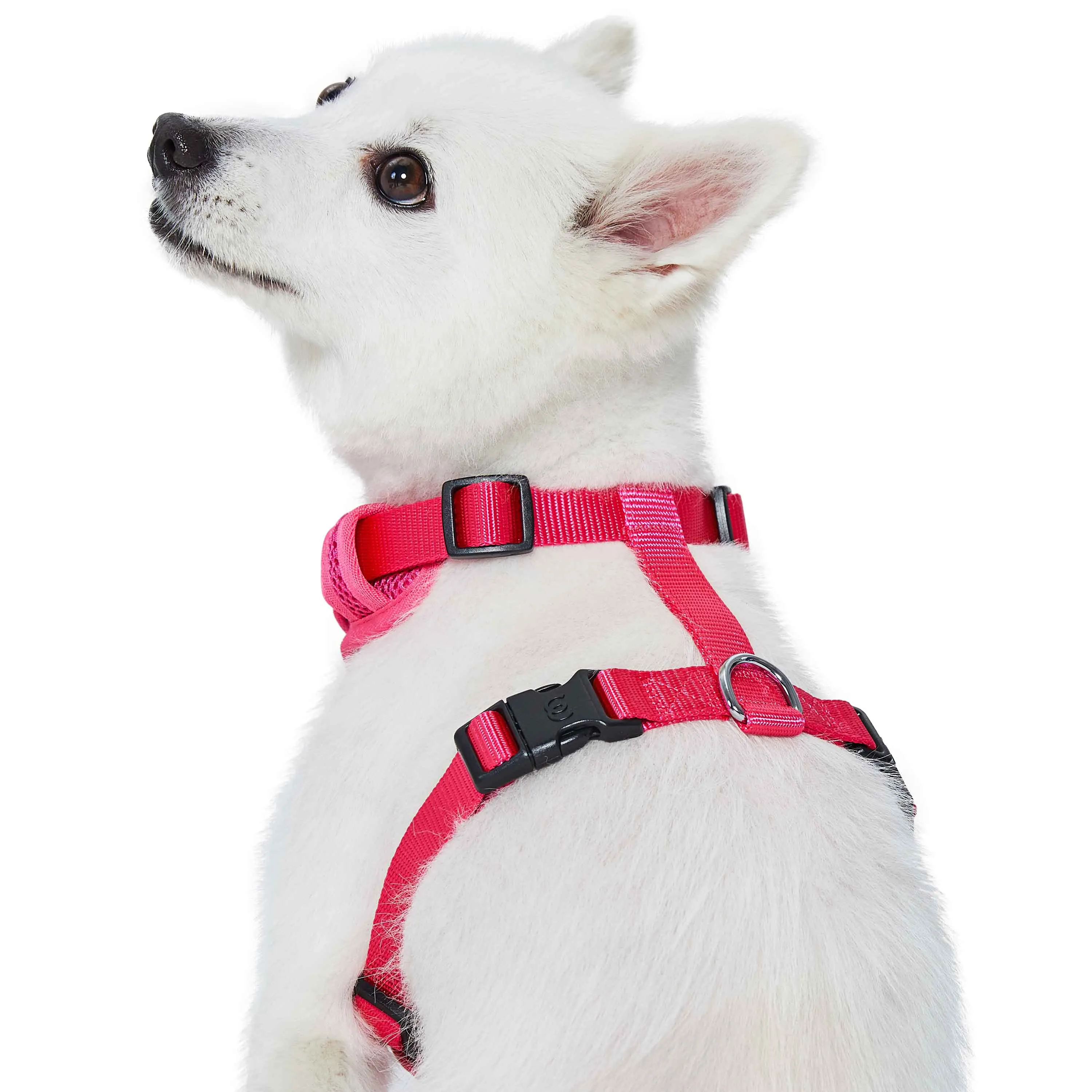 H Shape Adjustable Nylon Harness Vest for Girl Boy Dogs, Blue Pink Green..