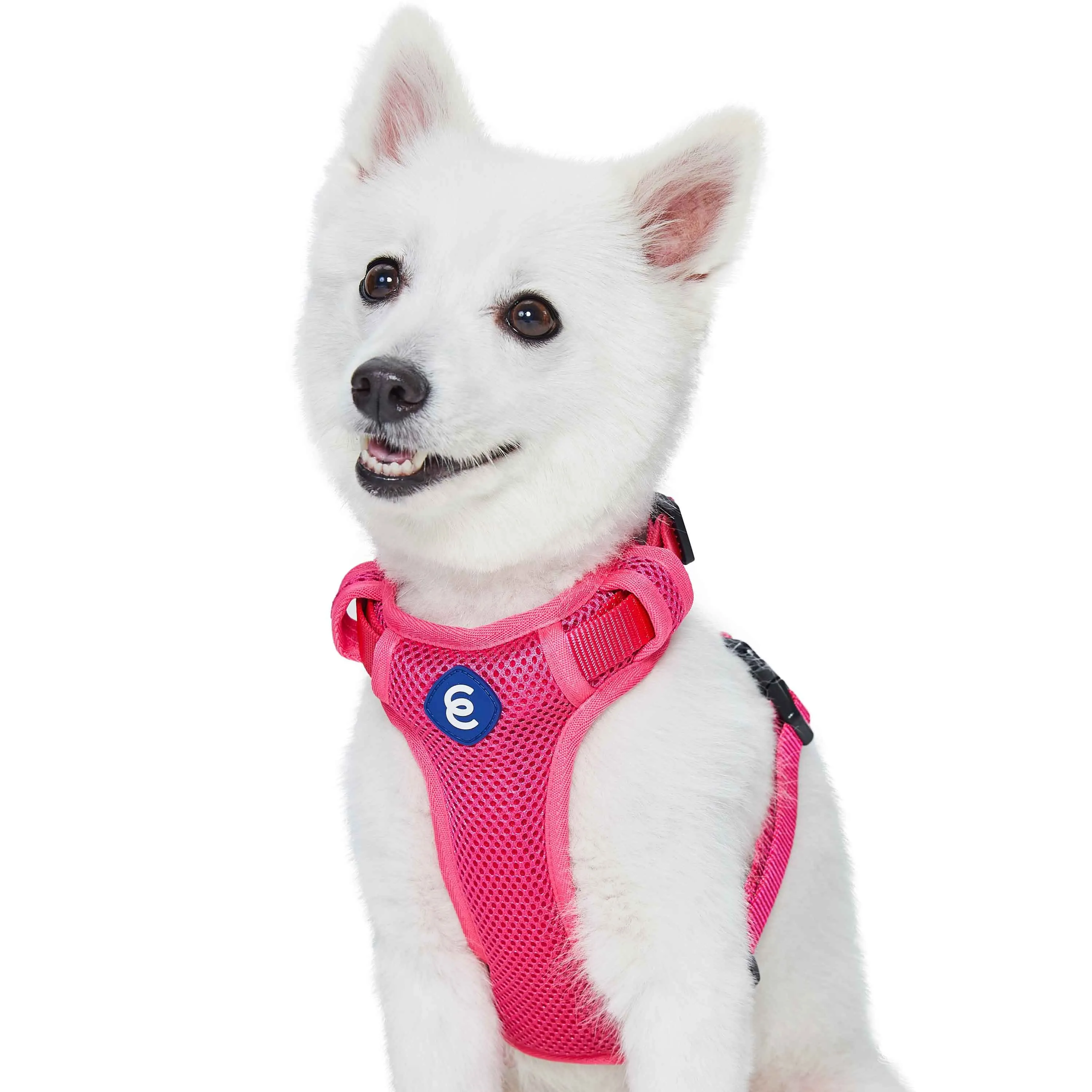 H Shape Adjustable Nylon Harness Vest for Girl Boy Dogs, Blue Pink Green..