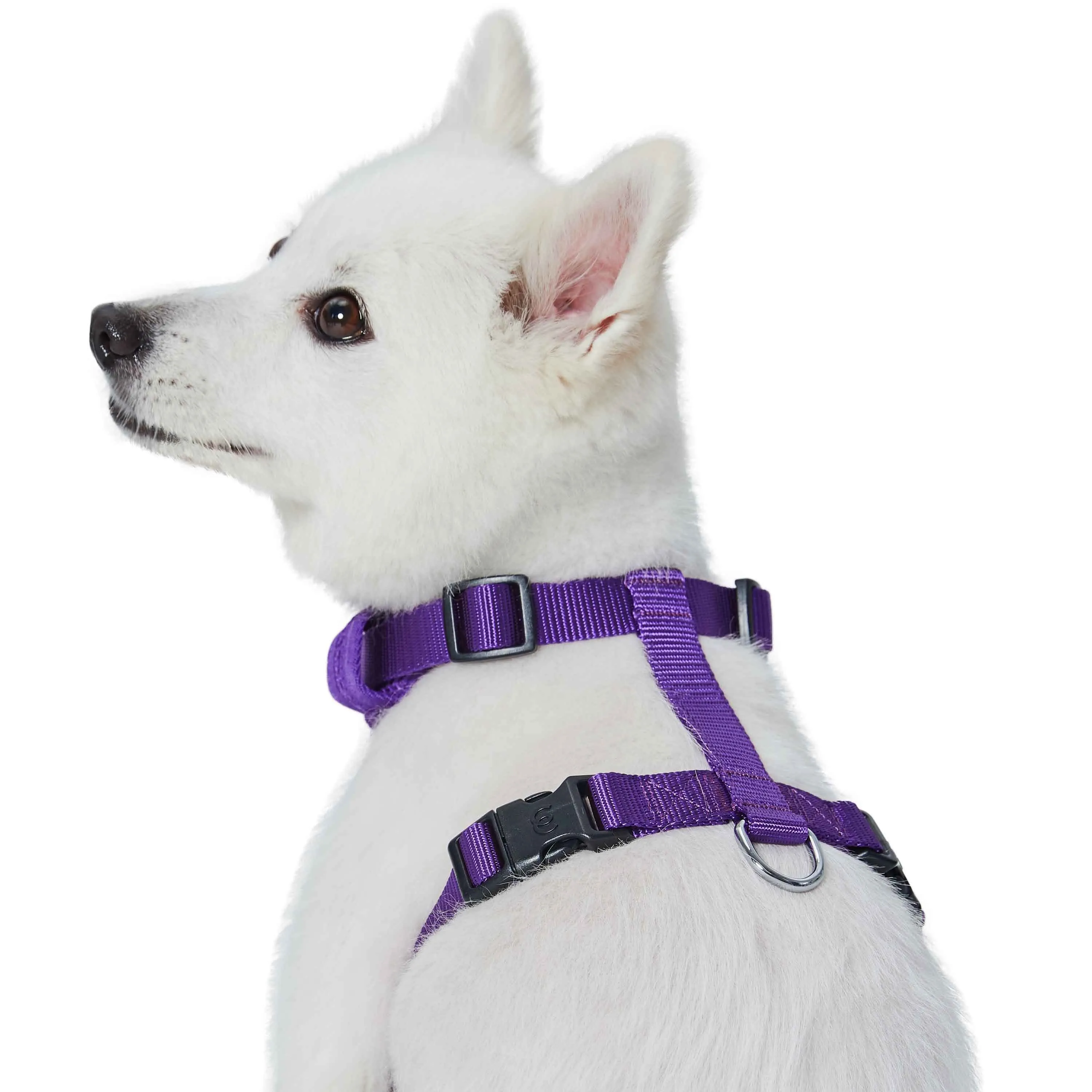 H Shape Adjustable Nylon Harness Vest for Girl Boy Dogs, Blue Pink Green..