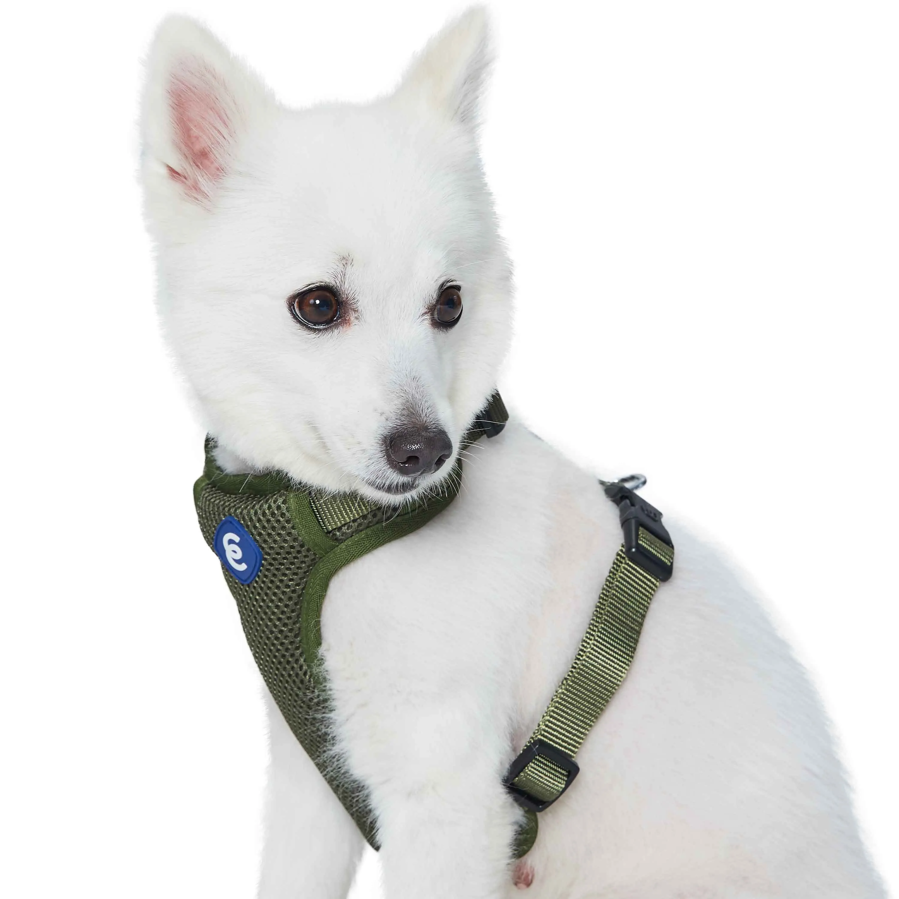 H Shape Adjustable Nylon Harness Vest for Girl Boy Dogs, Blue Pink Green..