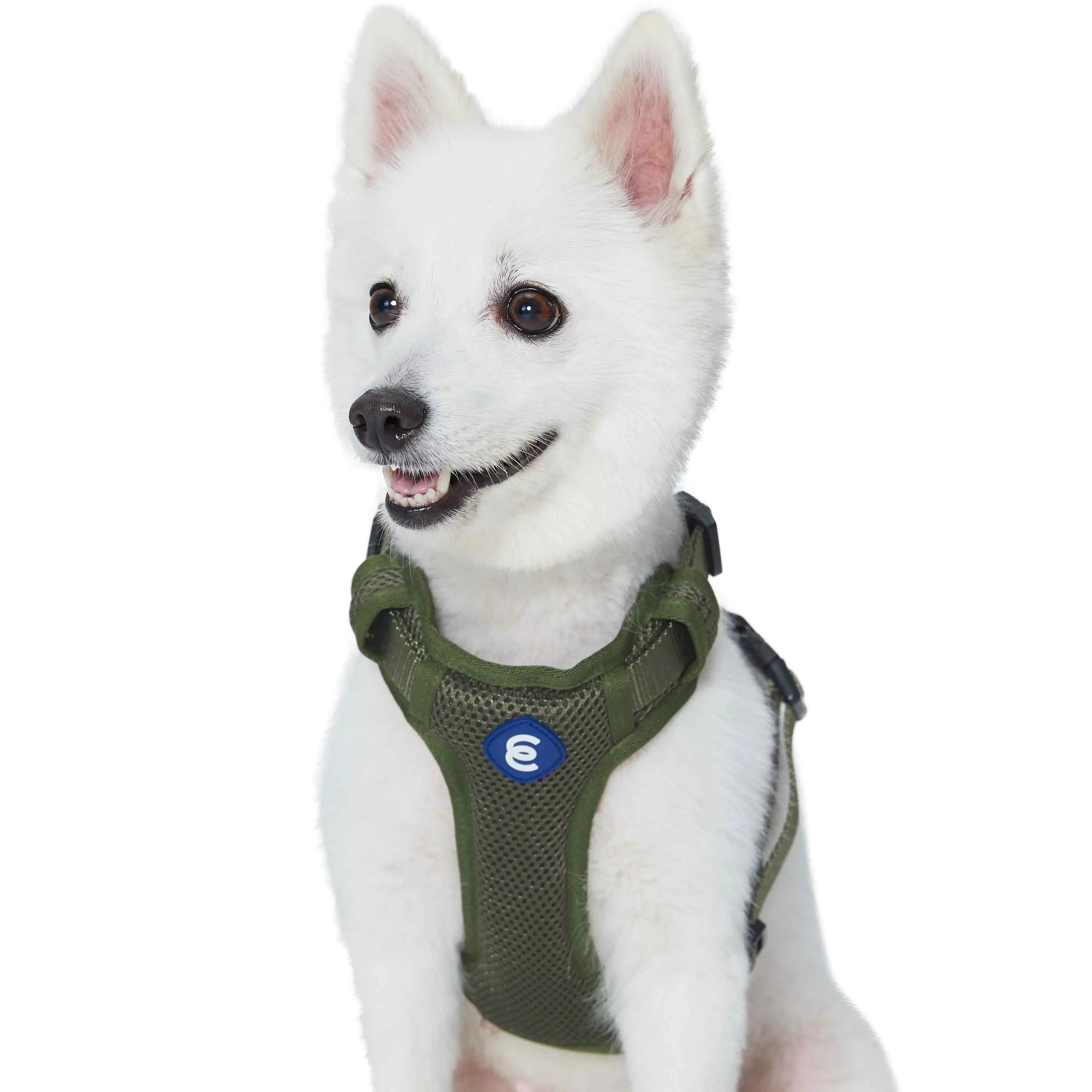 H Shape Adjustable Nylon Harness Vest for Girl Boy Dogs, Blue Pink Green..