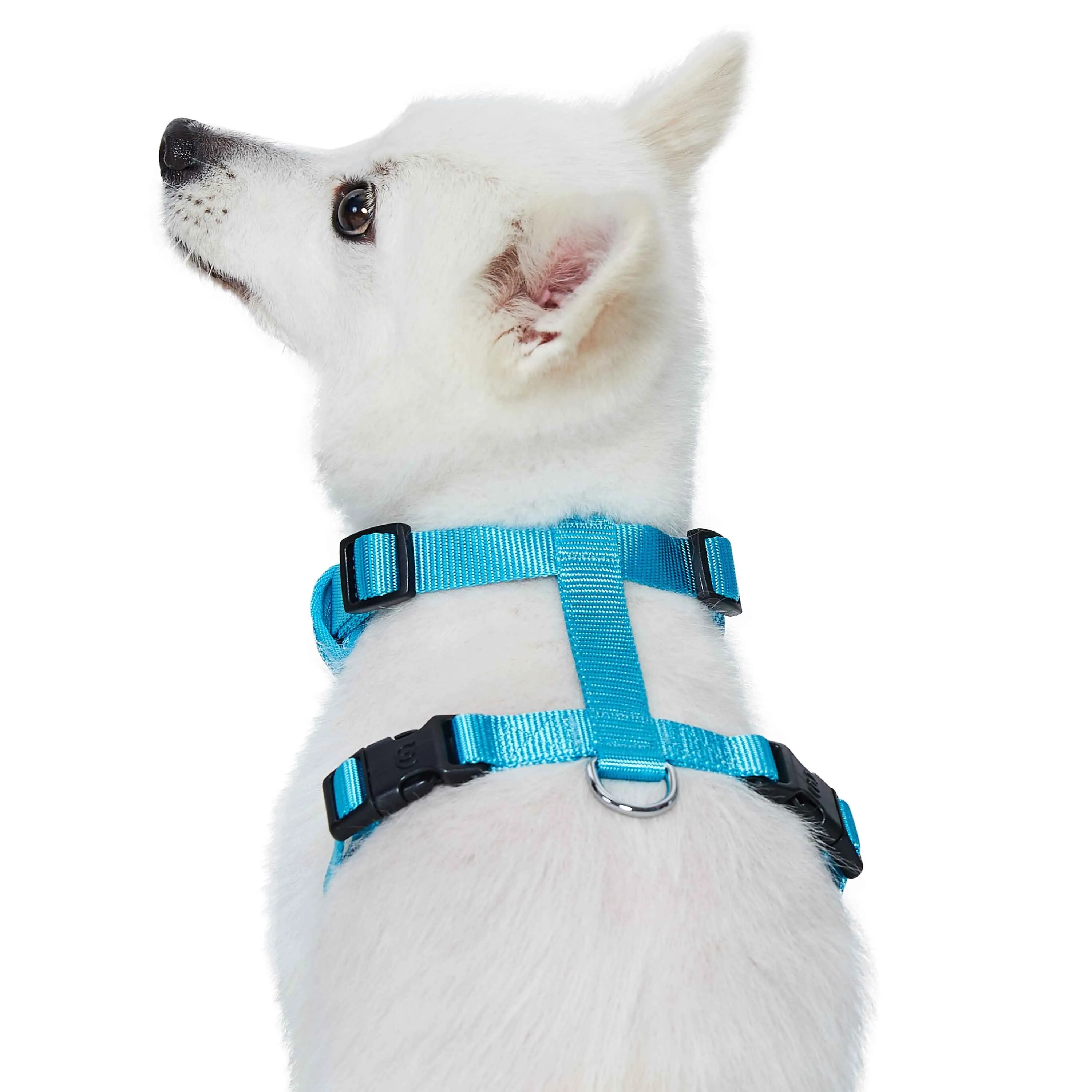 H Shape Adjustable Nylon Harness Vest for Girl Boy Dogs, Blue Pink Green..