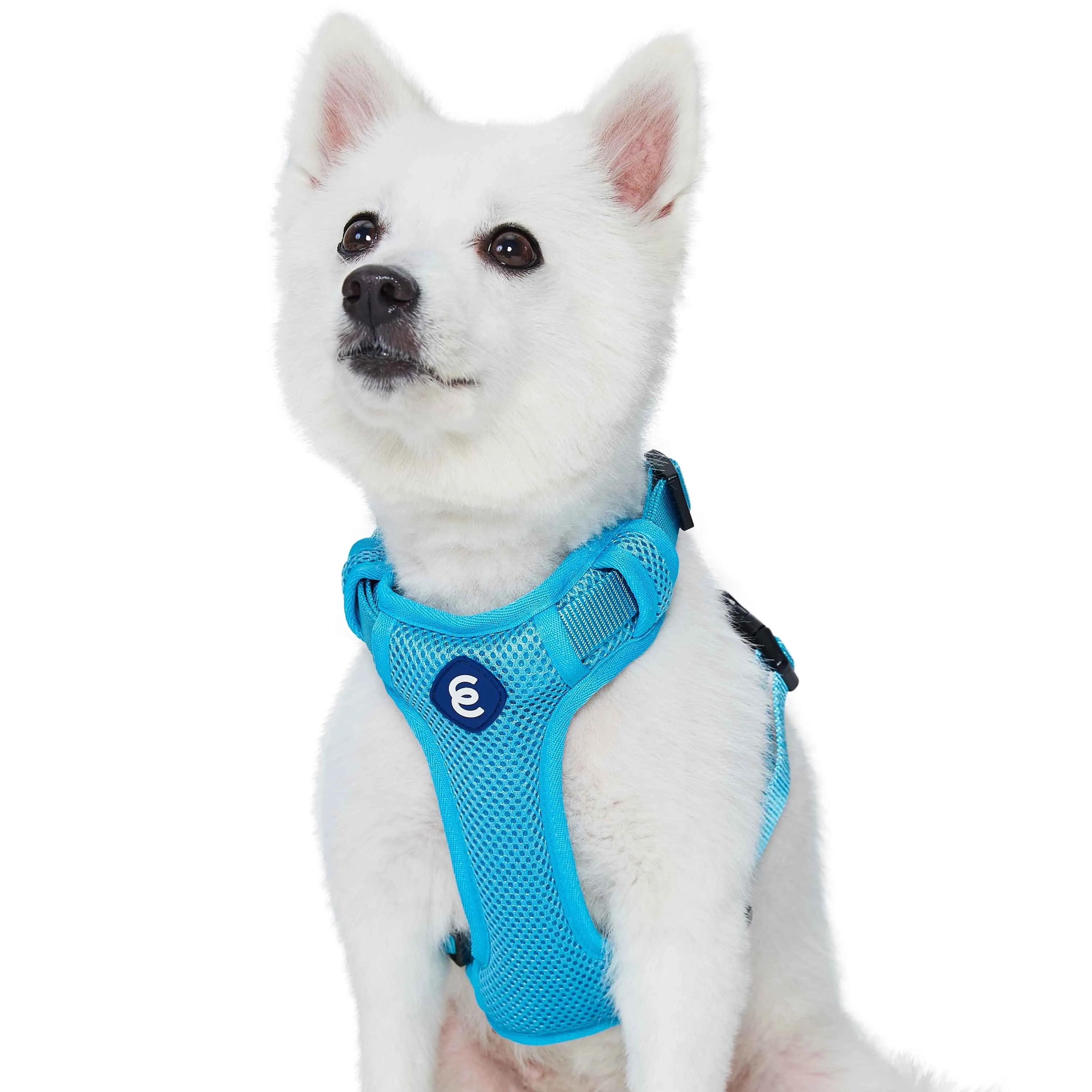 H Shape Adjustable Nylon Harness Vest for Girl Boy Dogs, Blue Pink Green..