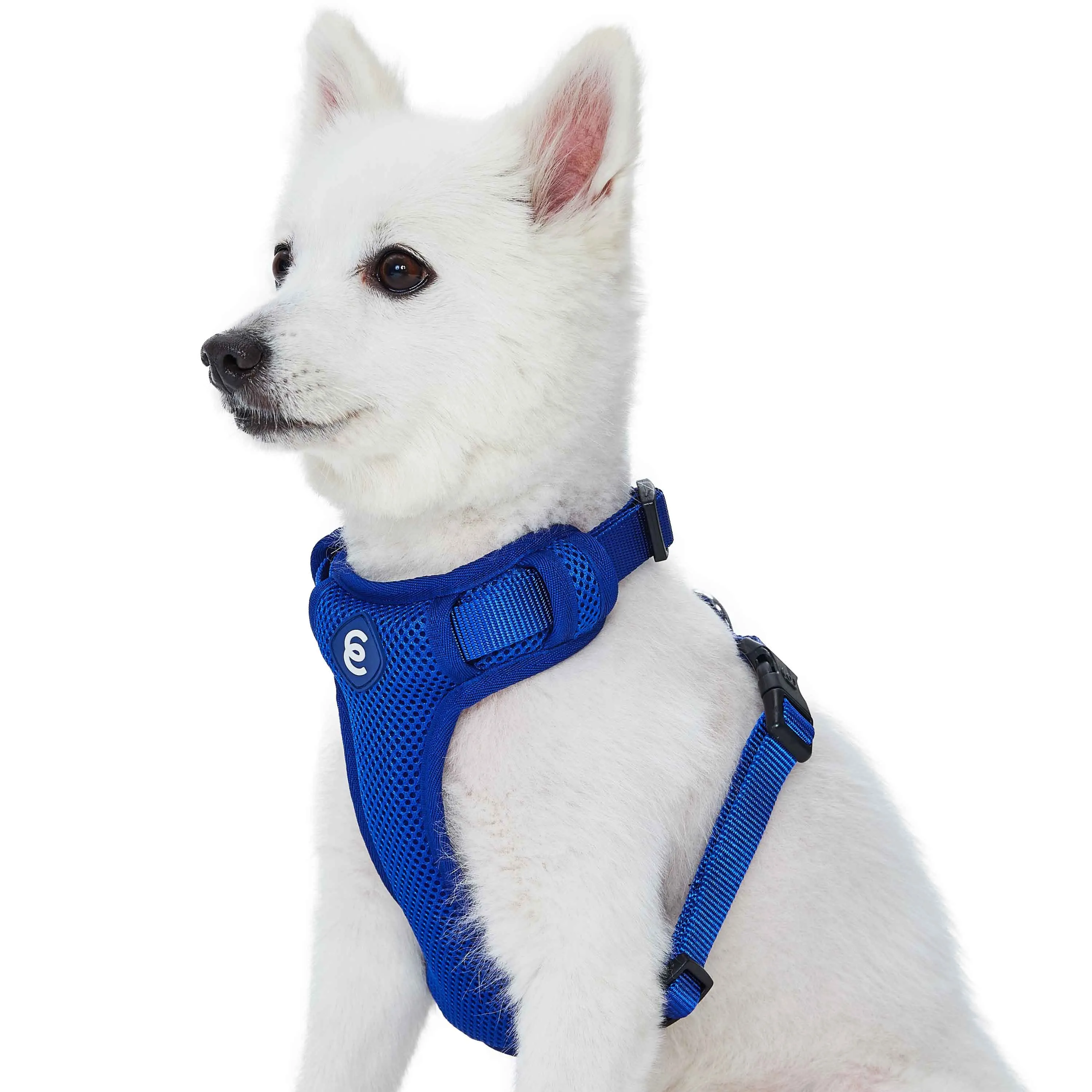 H Shape Adjustable Nylon Harness Vest for Girl Boy Dogs, Blue Pink Green..