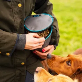 Henry Wag Pets Snack Pack