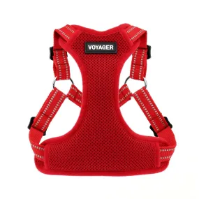 Independence Step-In Flex Dog Harness: Comfortable for Every Adventure