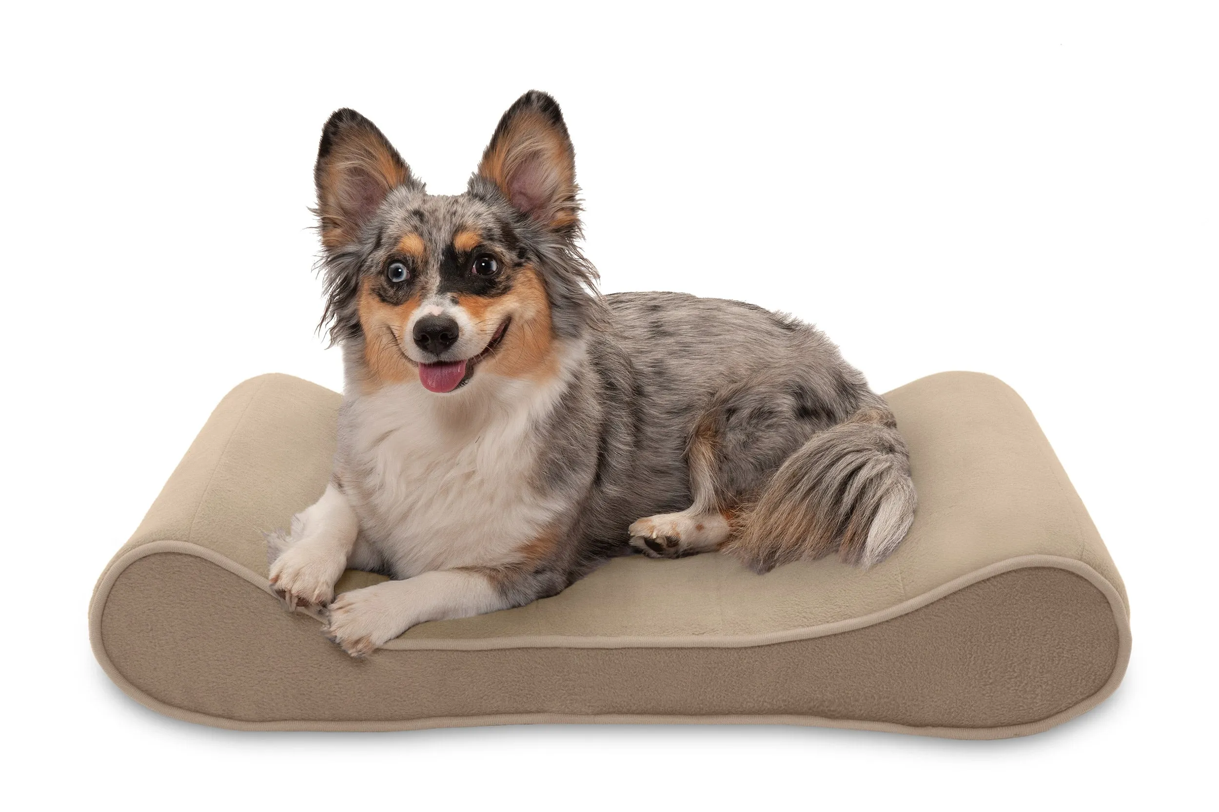 Luxe Lounger Contour Dog Bed - Microvelvet