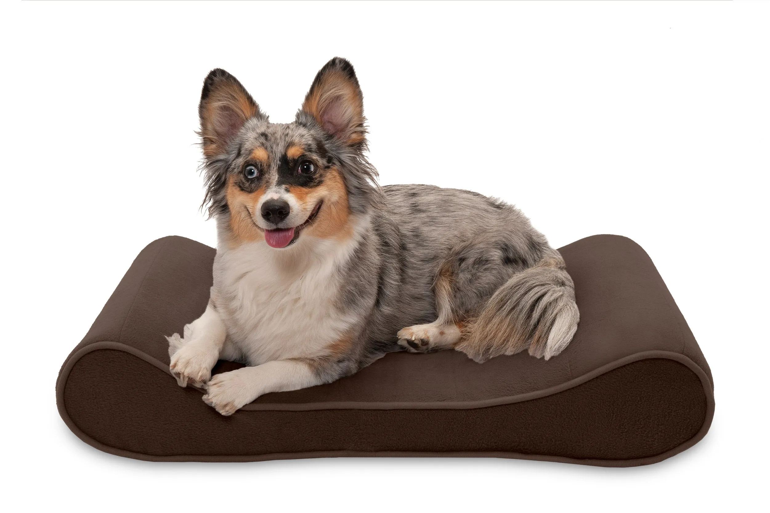 Luxe Lounger Contour Dog Bed - Microvelvet