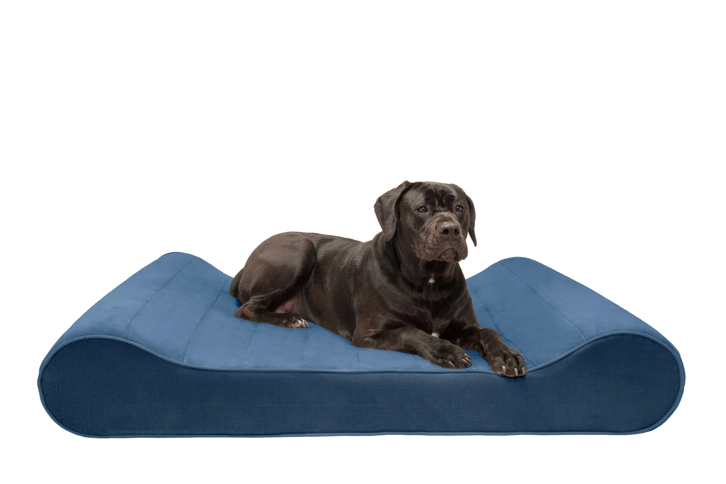 Luxe Lounger Contour Dog Bed - Microvelvet