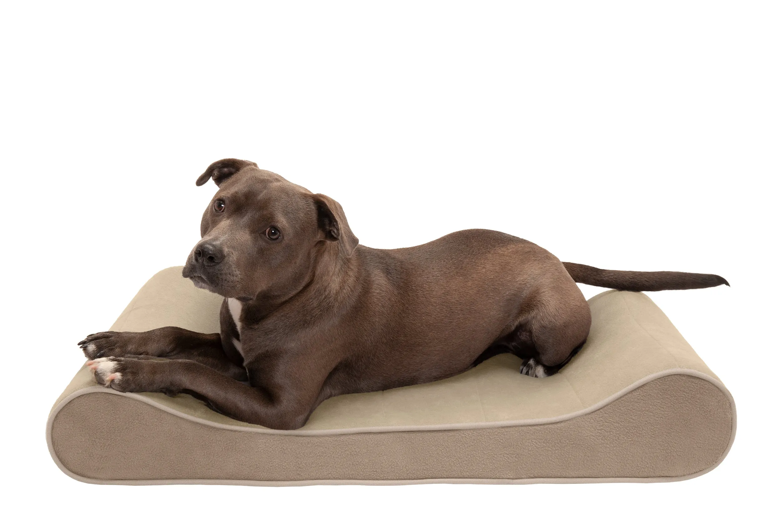 Luxe Lounger Contour Dog Bed - Microvelvet