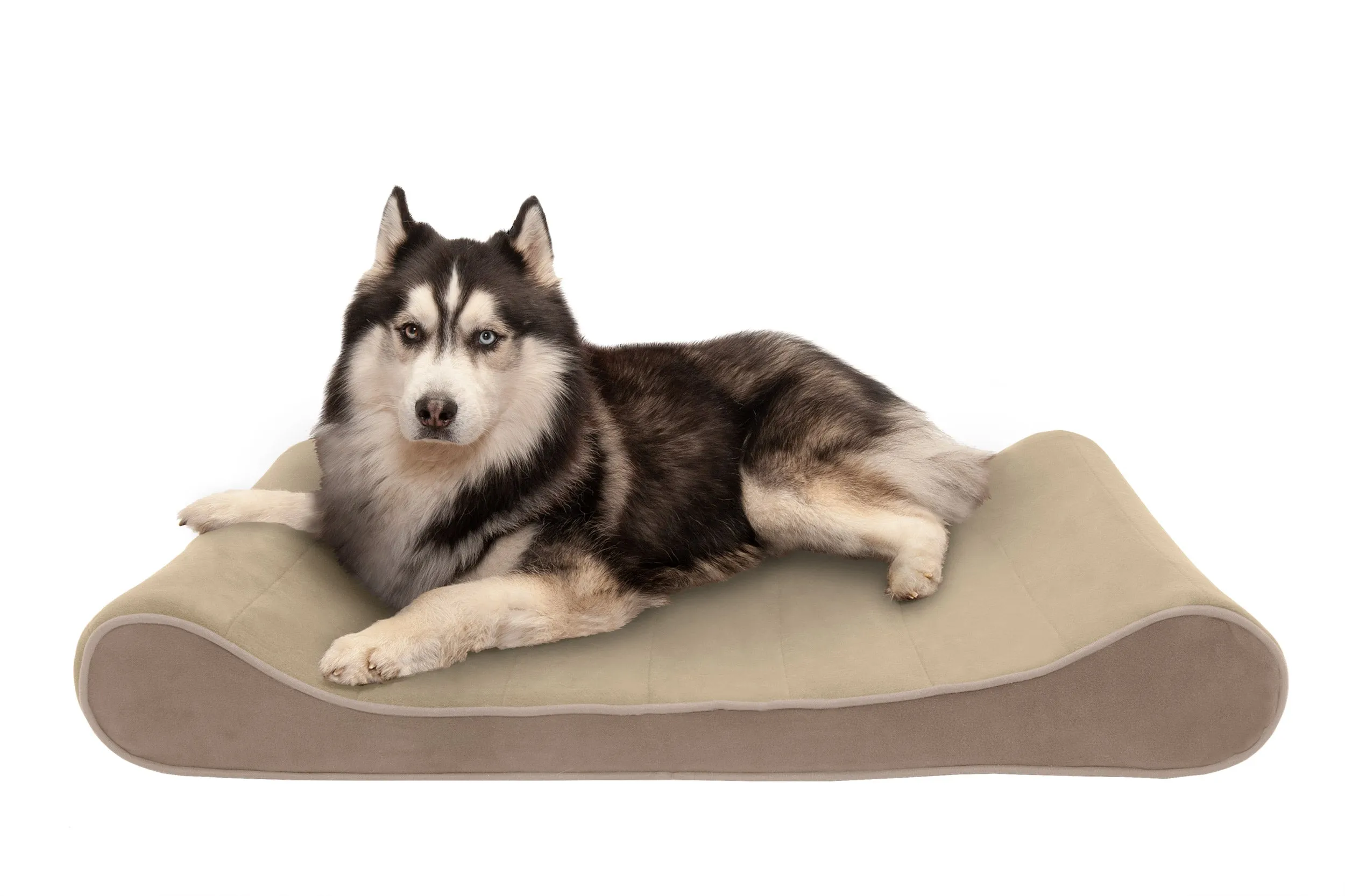 Luxe Lounger Contour Dog Bed - Microvelvet