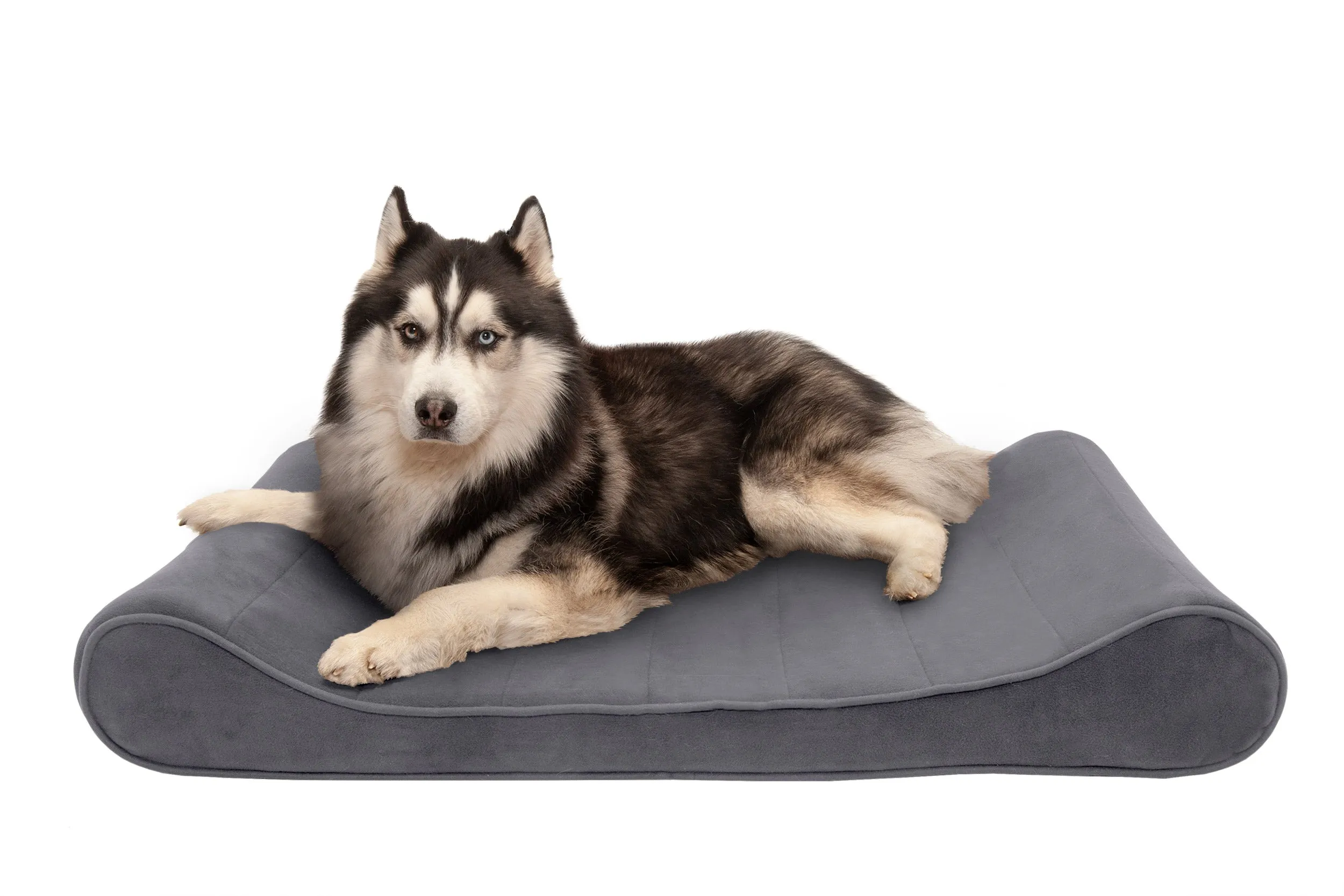 Luxe Lounger Contour Dog Bed - Microvelvet