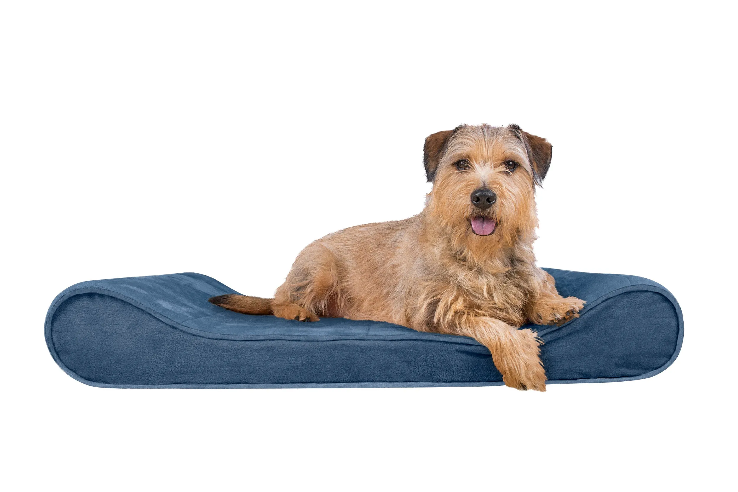 Luxe Lounger Contour Dog Bed - Microvelvet