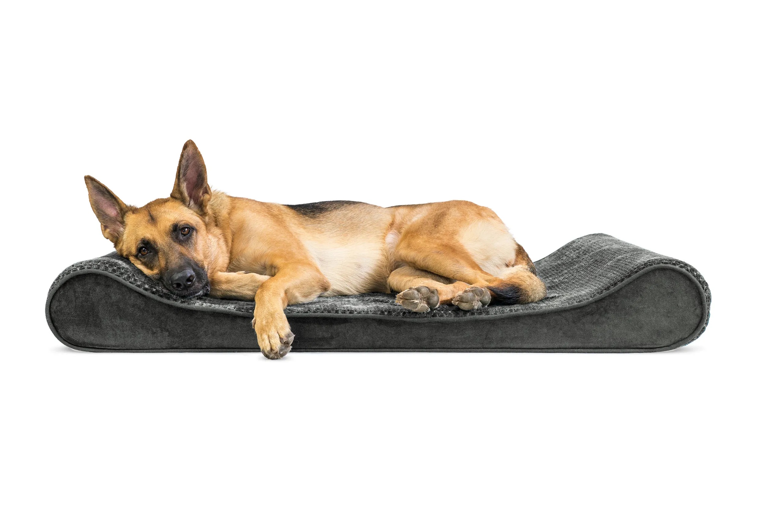 Luxe Lounger Contour Dog Bed - Minky Plush & Velvet