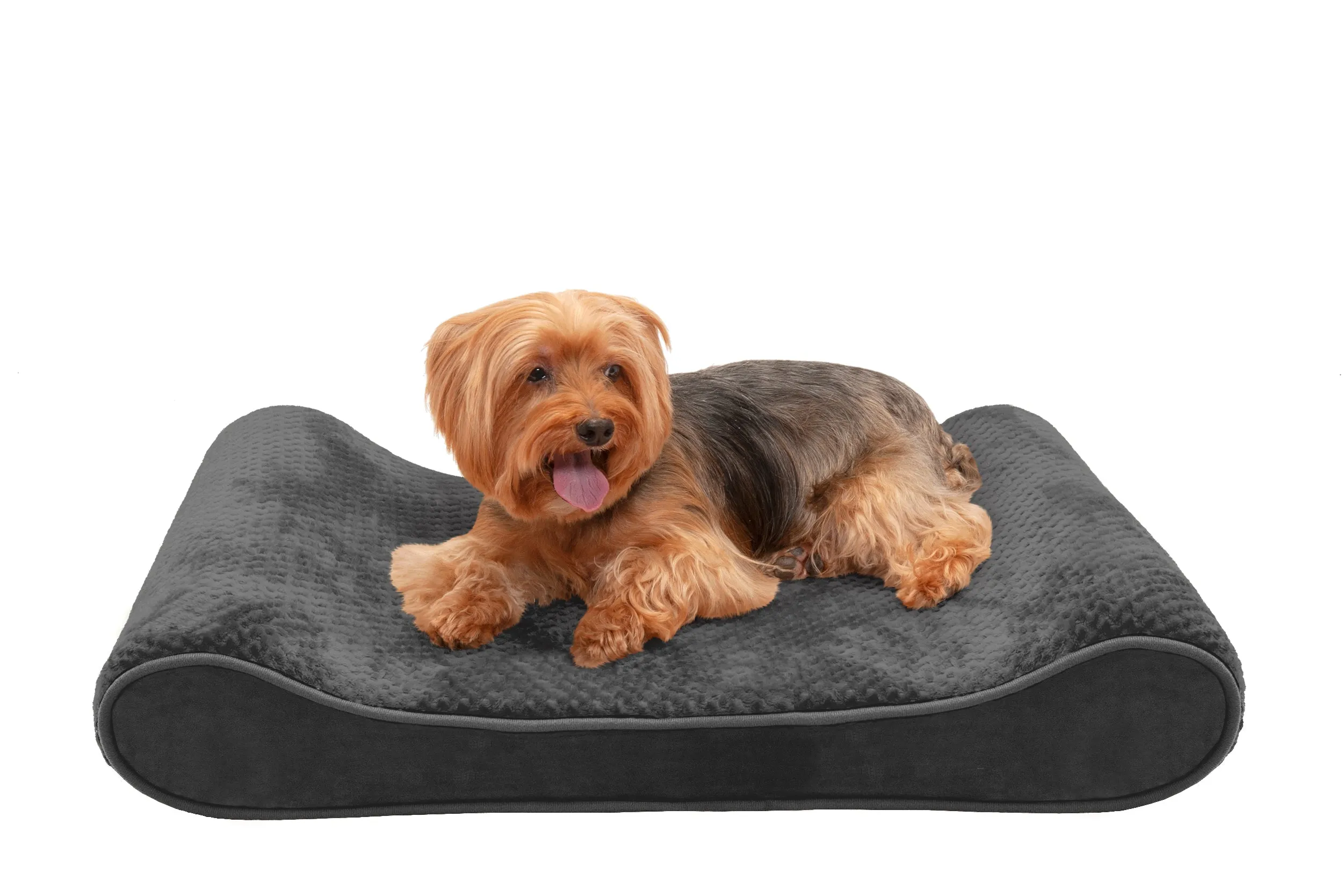 Luxe Lounger Contour Dog Bed - Minky Plush & Velvet