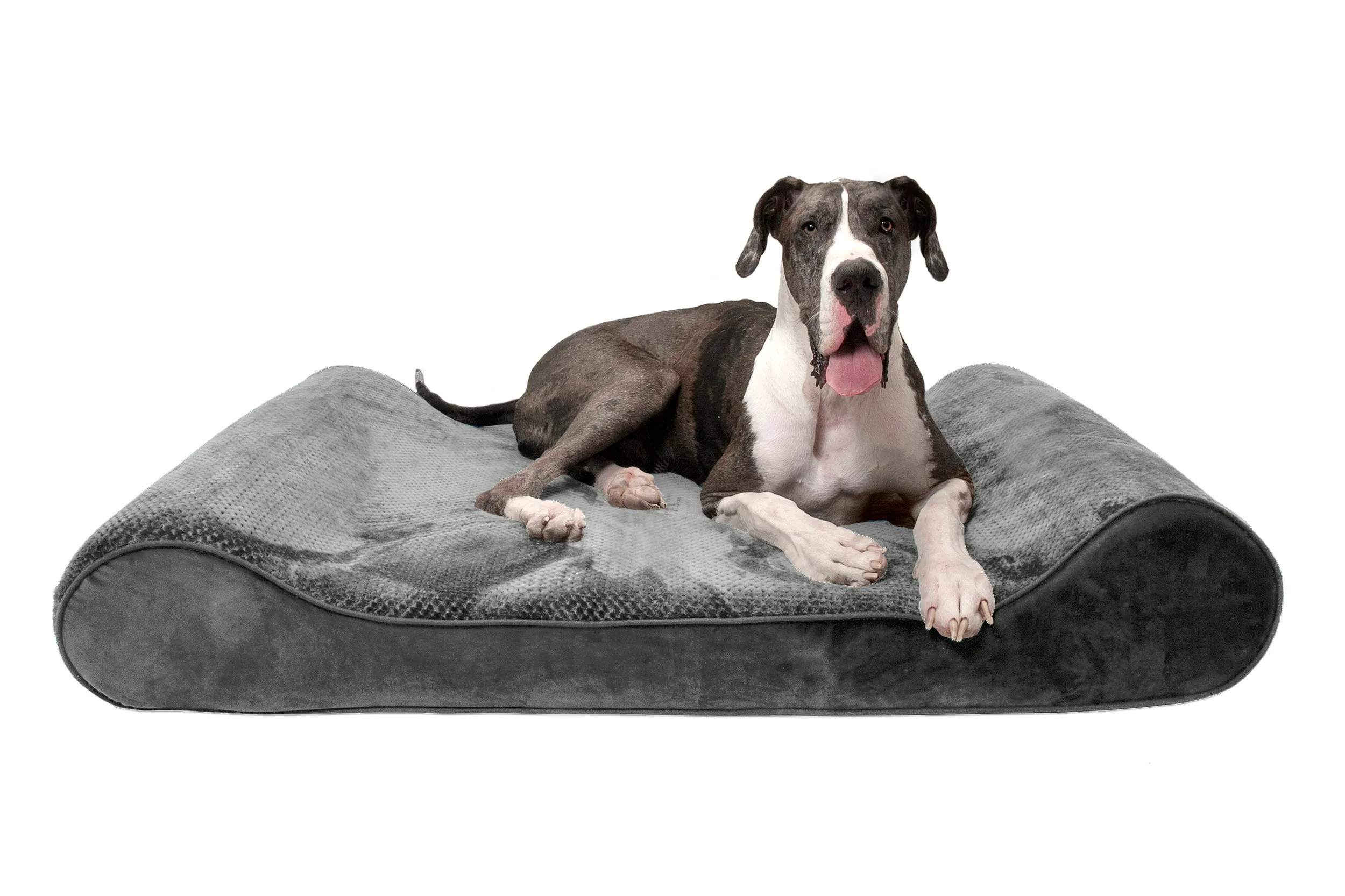 Luxe Lounger Contour Dog Bed - Minky Plush & Velvet