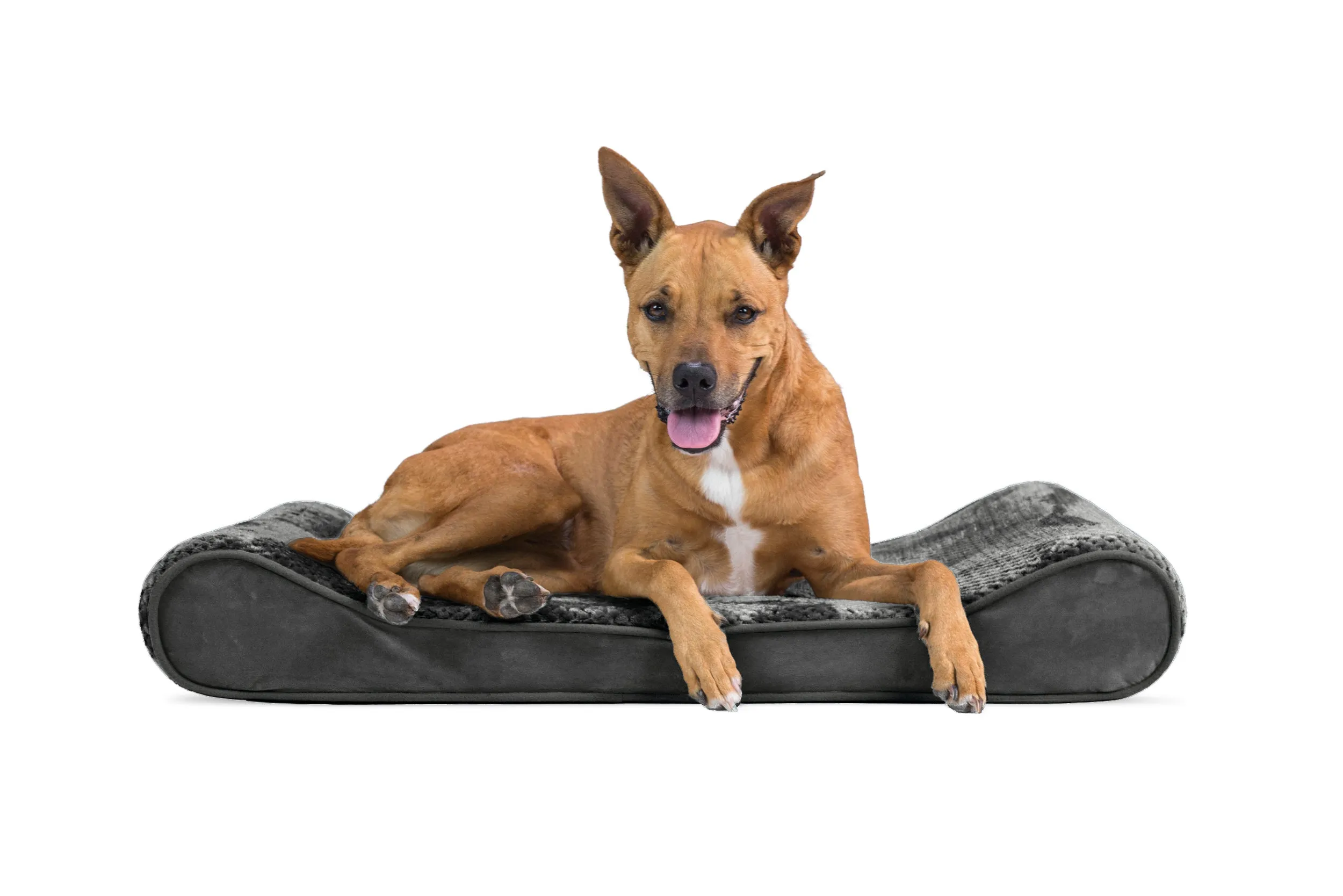 Luxe Lounger Contour Dog Bed - Minky Plush & Velvet