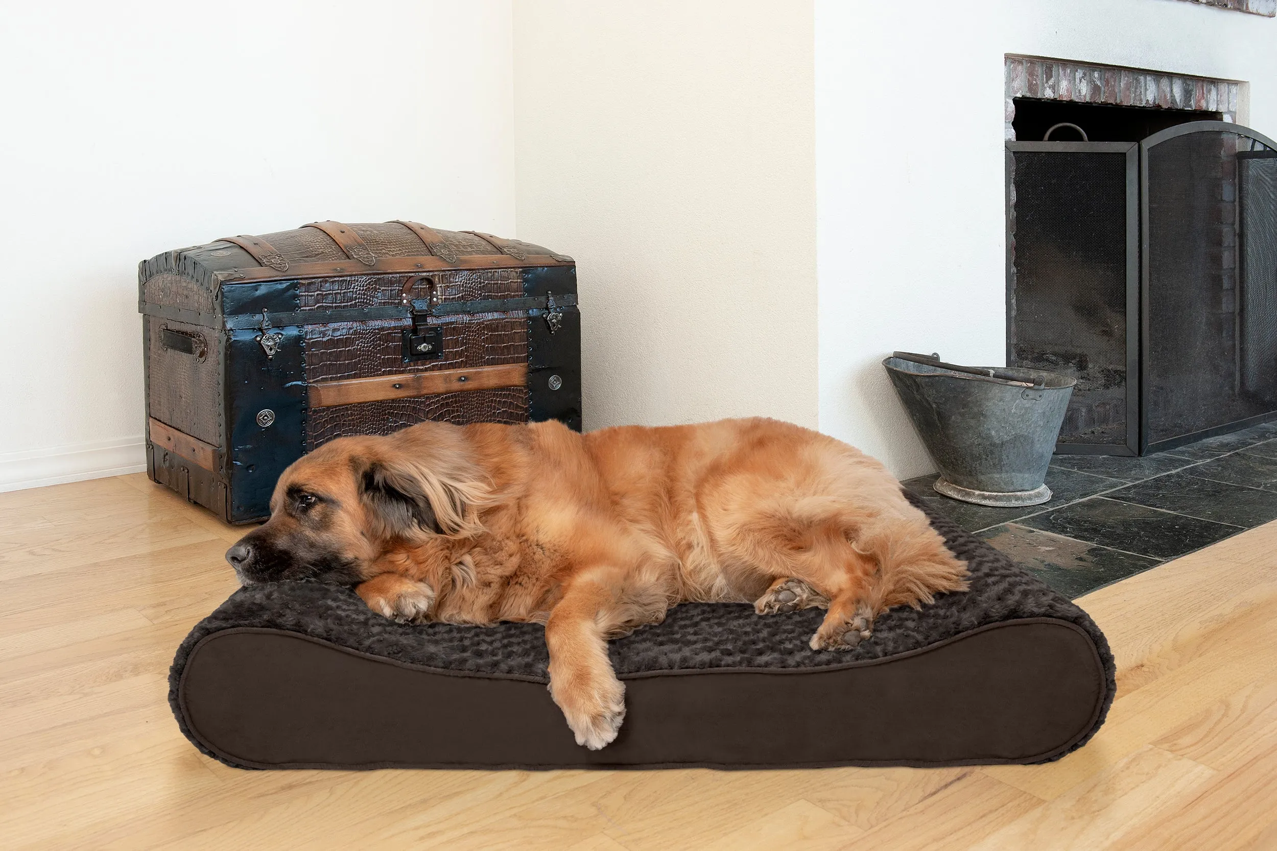 Luxe Lounger Contour Dog Bed - Ultra Plush