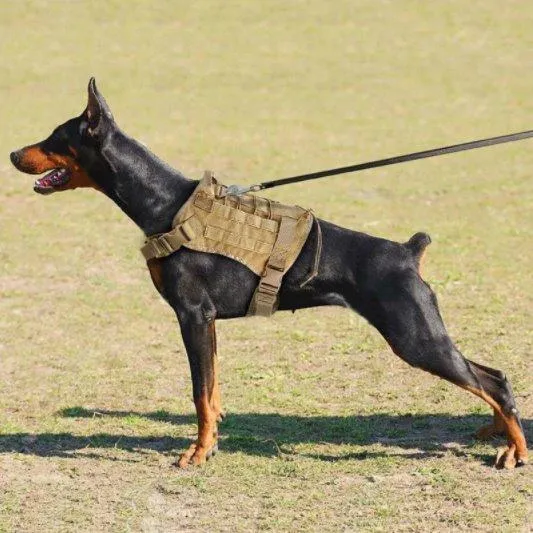 Military Style Dog Harness