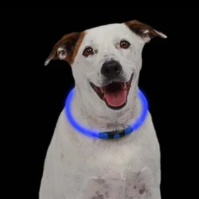 NiteHowl Pet LED Safety Necklace - Blue