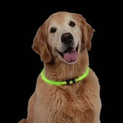 NiteHowl Pet LED Safety Necklace - Green