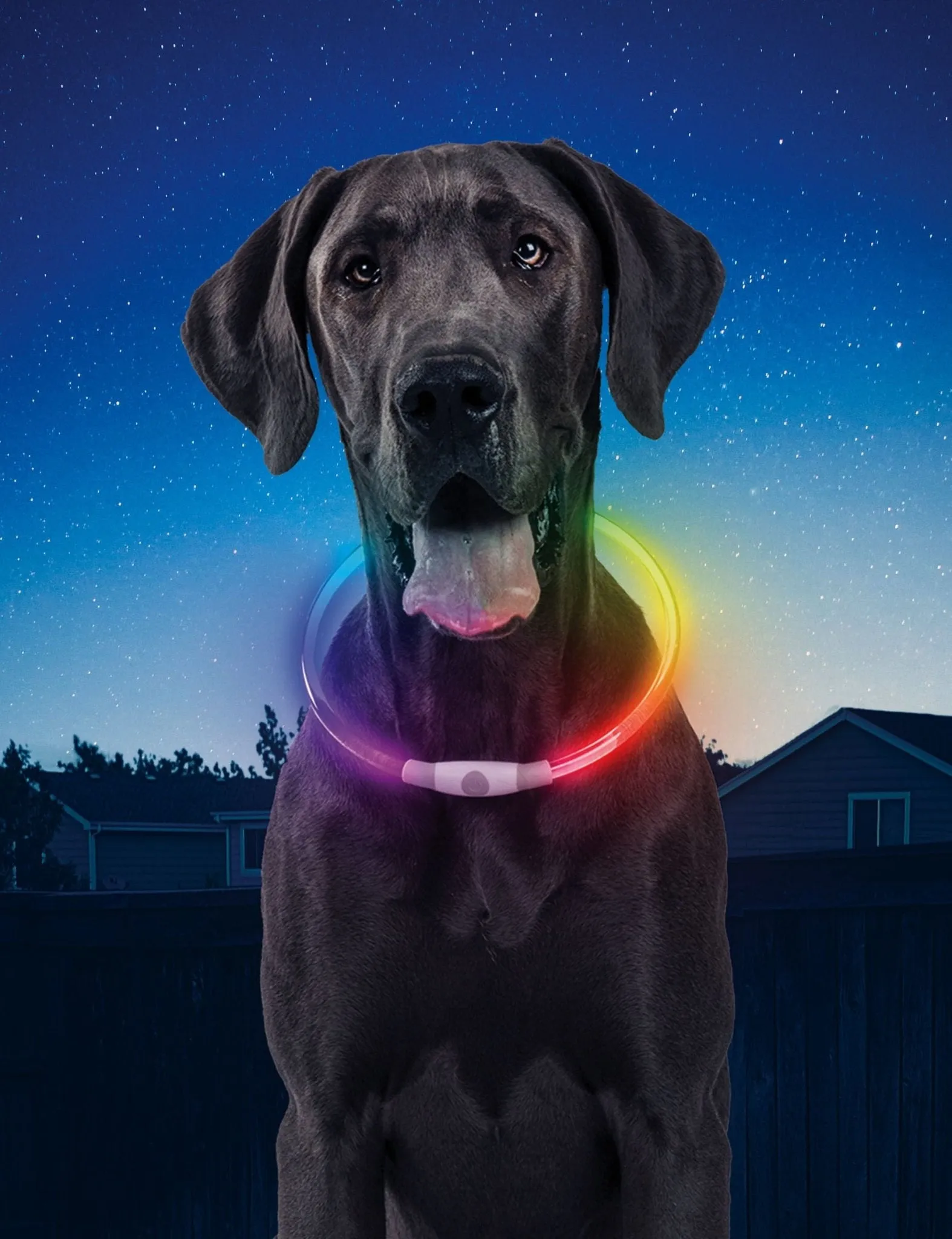 NiteHowl Rechargeable LED Safety Necklace