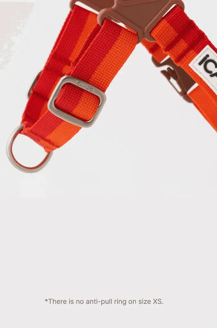 No-Pull Dog Harness